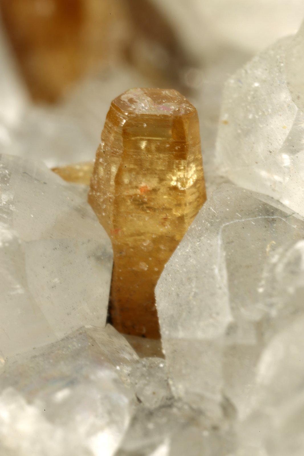 Beryl (variety emerald), Calcite, Parisite
Detail - H=3mm
(Autor: Fiebre Verde)