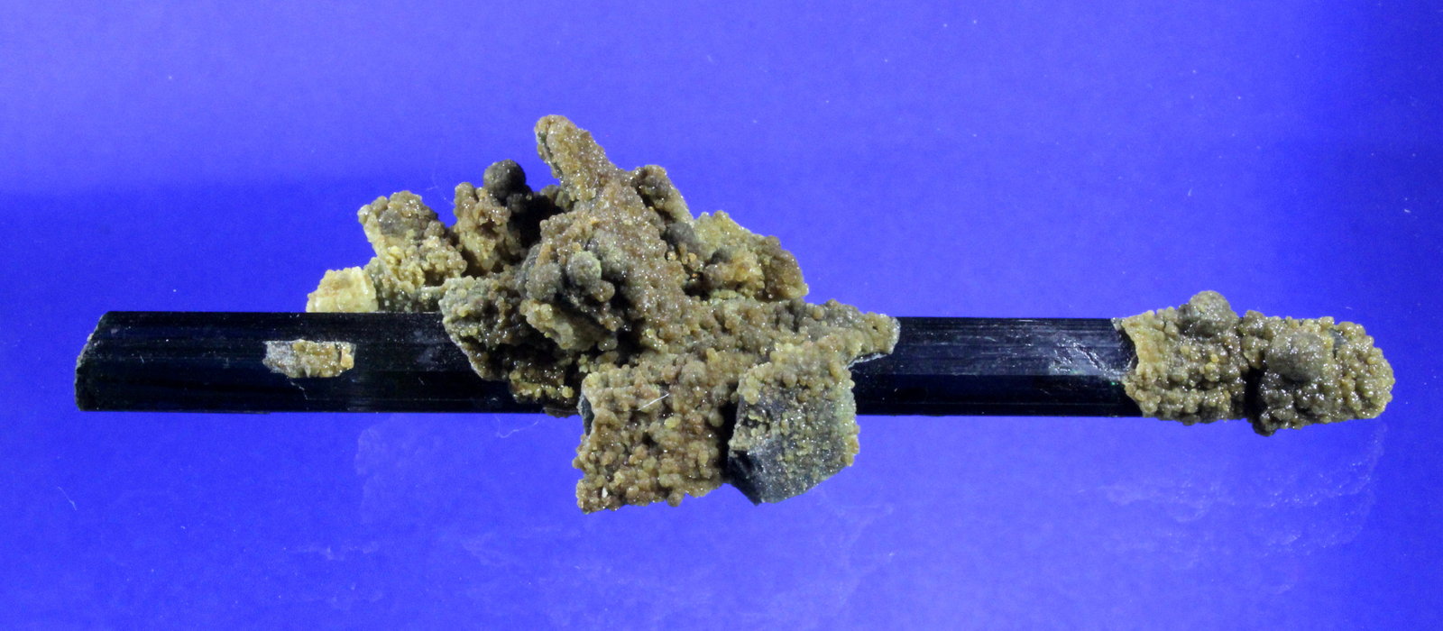 Zanazziite, Albite, Tourmaline
9.4 x 2.4 x 2.5 cm
(Autor: Don Lum)