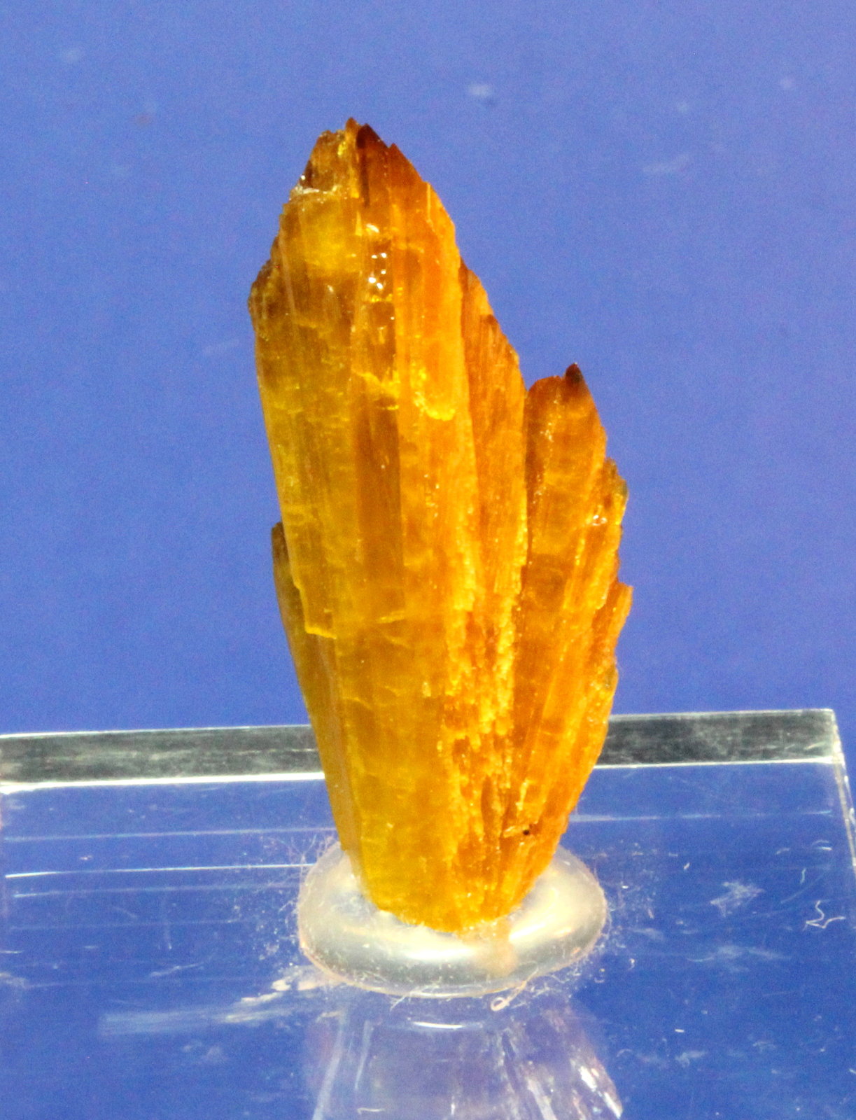 Legrandite
3.0 x 1.5 cm
(Autor: Don Lum)