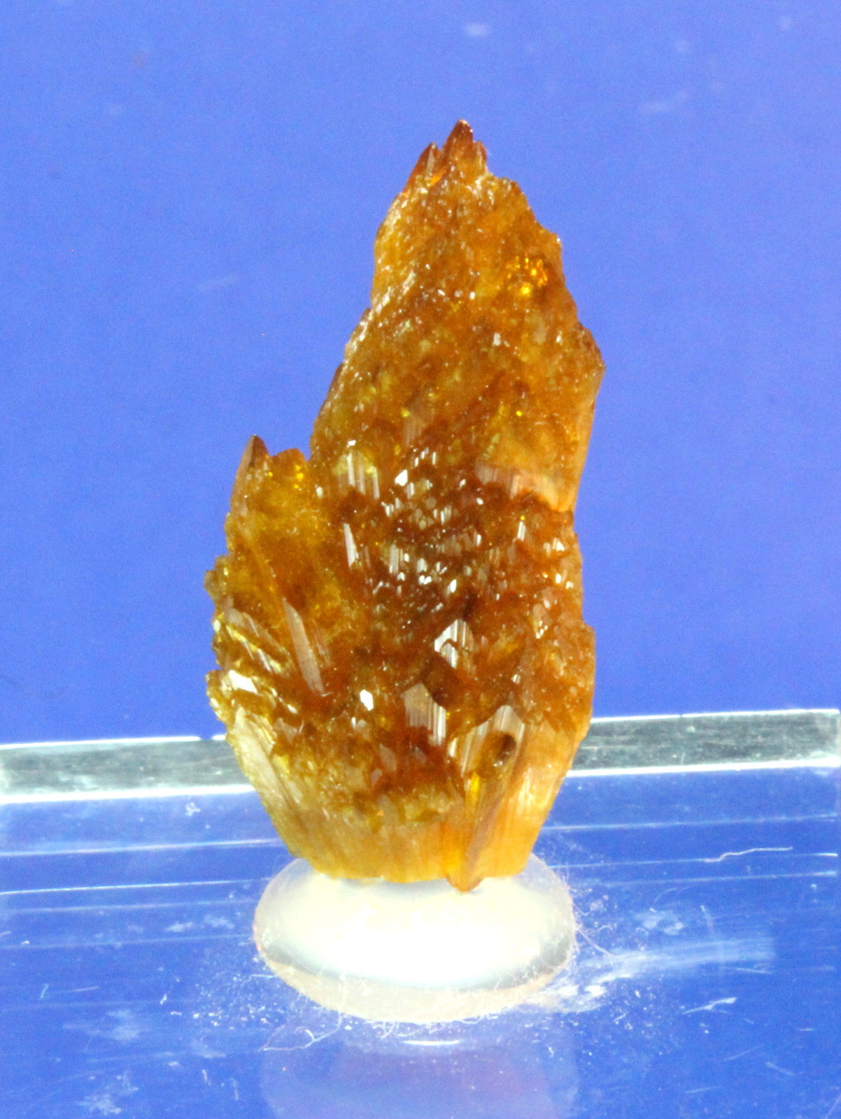 Legrandite
3.0 x 1.5 cm
(Autor: Don Lum)