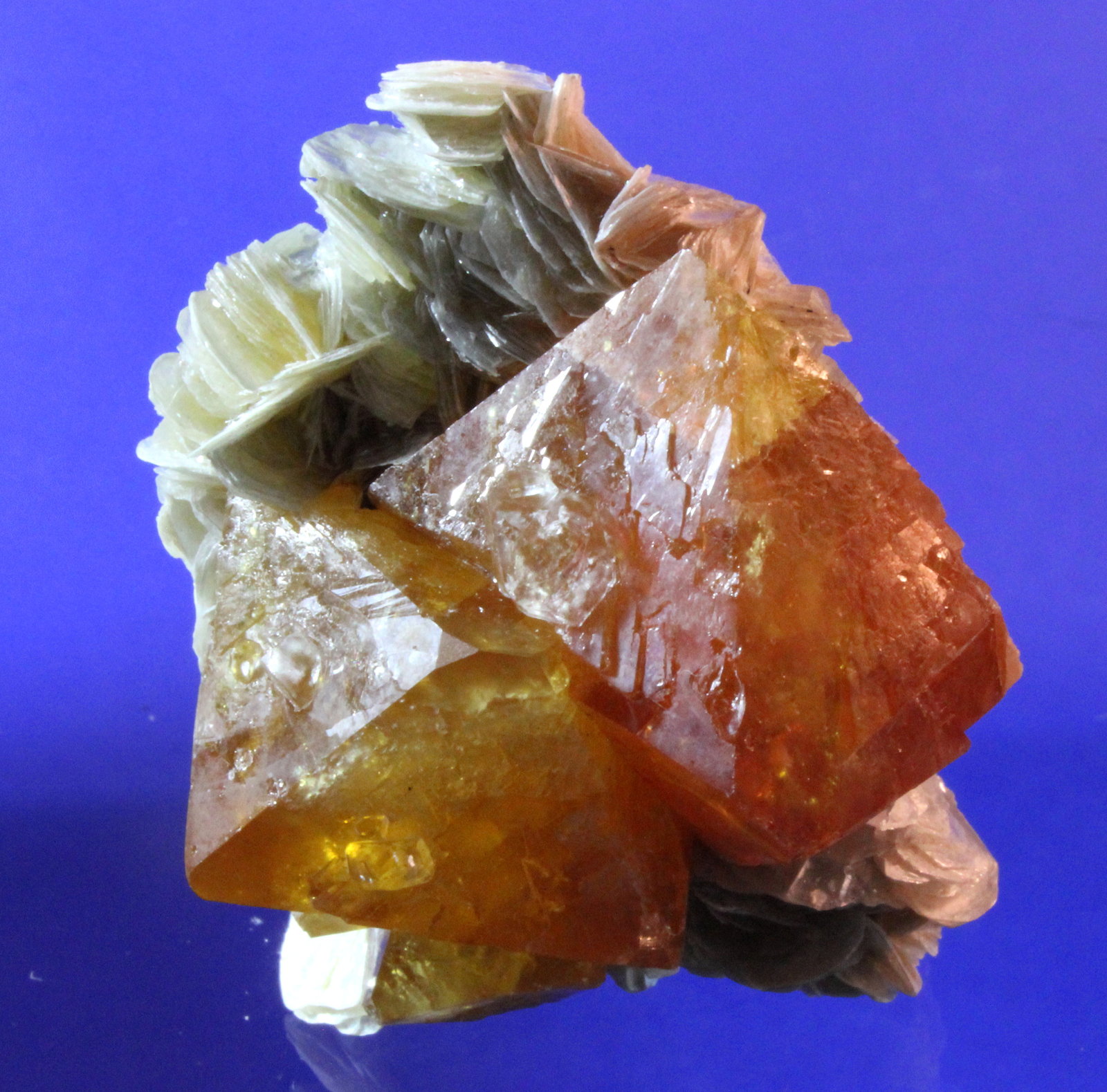Scheelite, Muscovite
5.5 x 4.3 cm
(Autor: Don Lum)