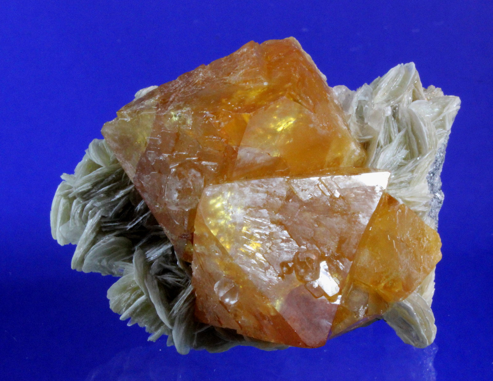 Scheelite, Muscovite
5.5 x 4.3 cm
(Autor: Don Lum)