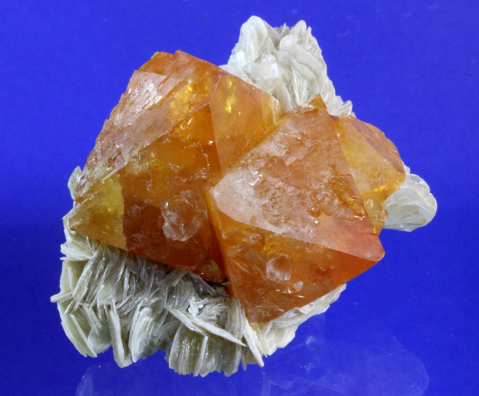 Scheelite, Muscovite
5.5 x 4.3 cm
(Autor: Don Lum)