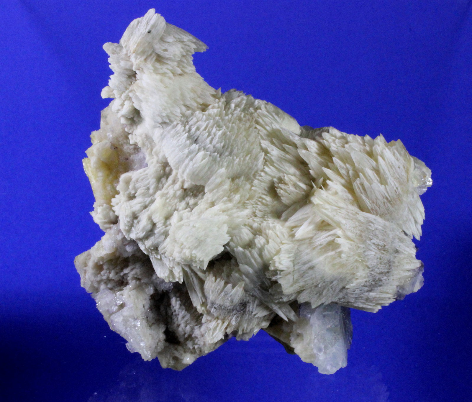 Strontianite, Calcite, Fluorite
10.5 x 10 cm
(Autor: Don Lum)