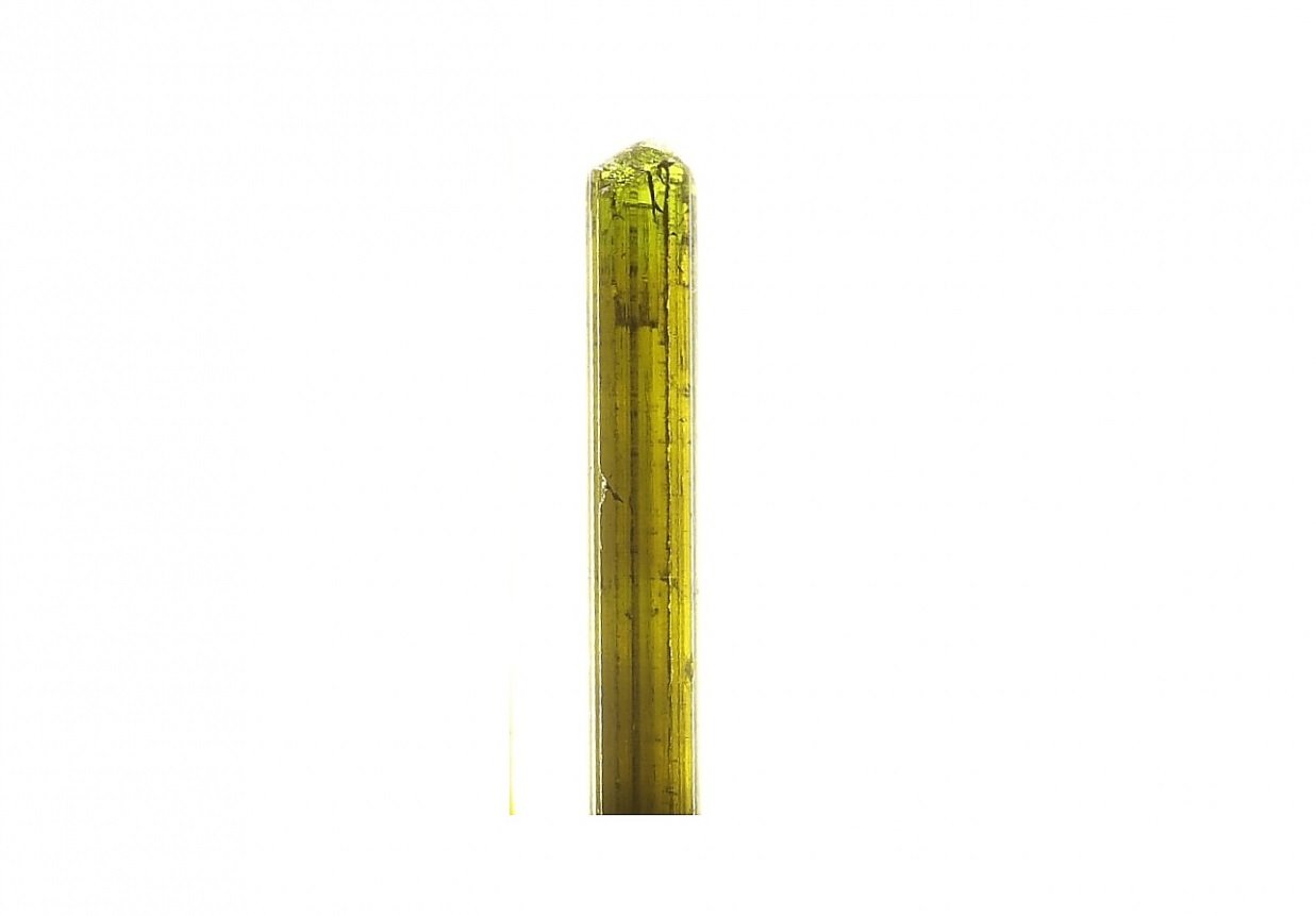 Elbaite (variety verdelite)
6mm x 40mm x 5mm
(Autor: Firmo Espinar)