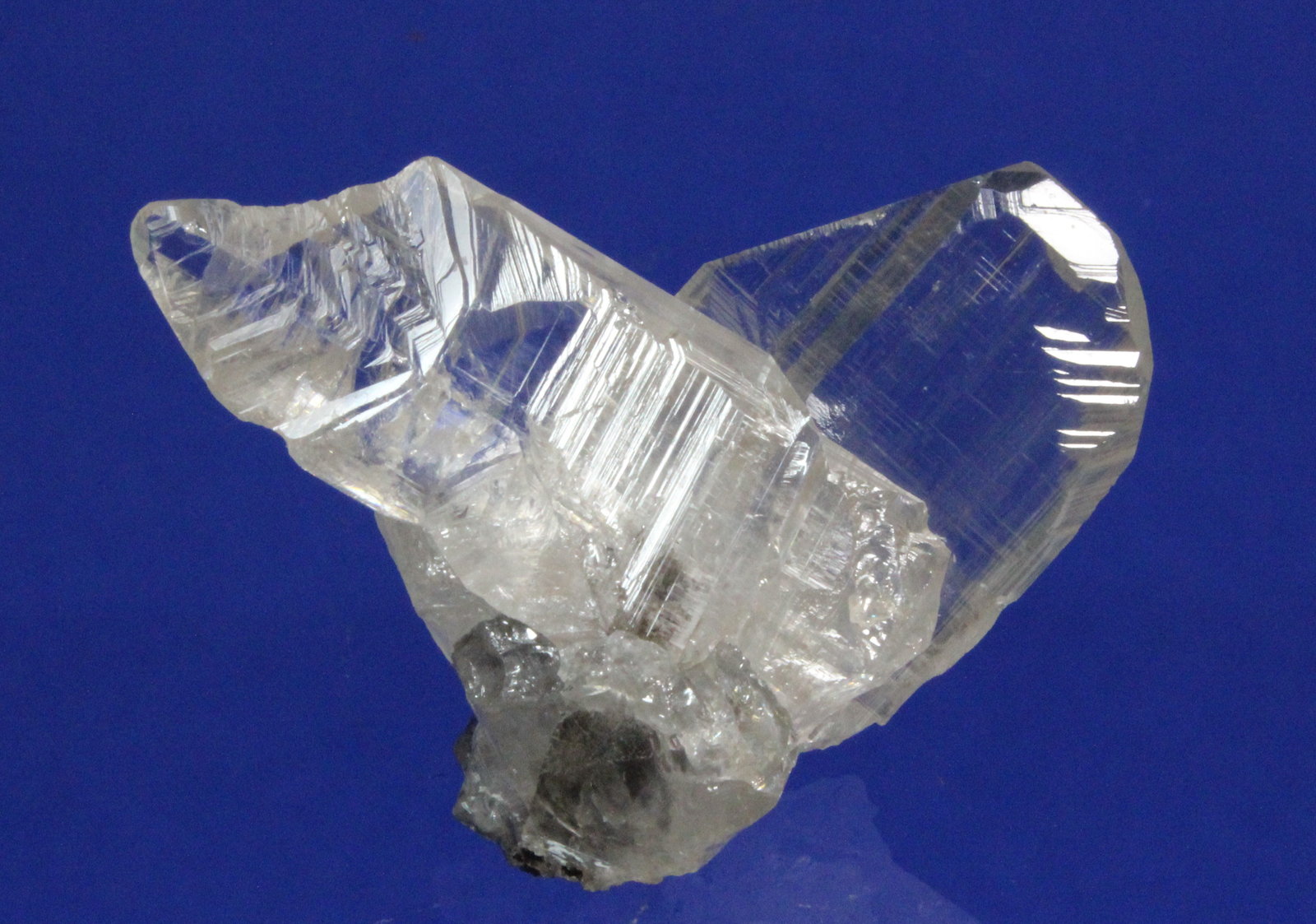 Cerussite
4.1 x 2.7 cm
(Autor: Don Lum)