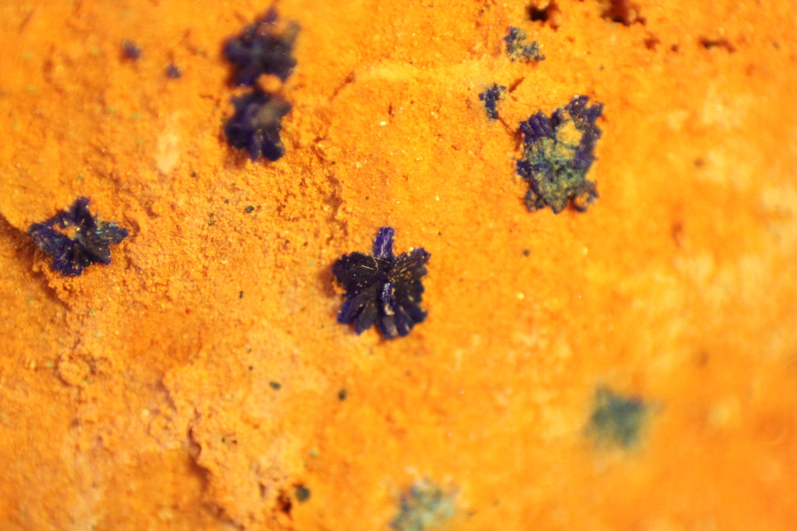 Azurite
FOV 11 mm
(Autor: Firmo Espinar)