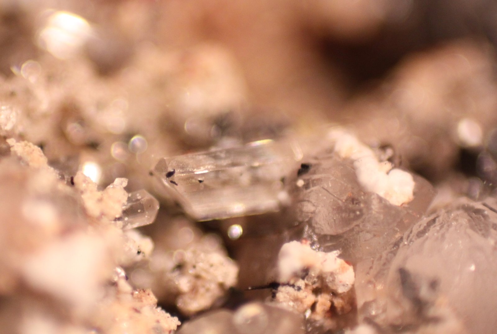 Fluorapatite
FOV 7 mm
(Autor: Firmo Espinar)