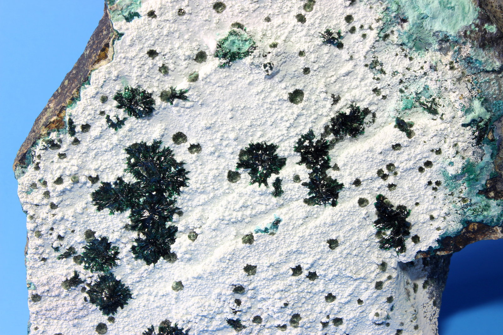 Atacamite
20 x 18 x 4.0 cm
(Autor: Don Lum)