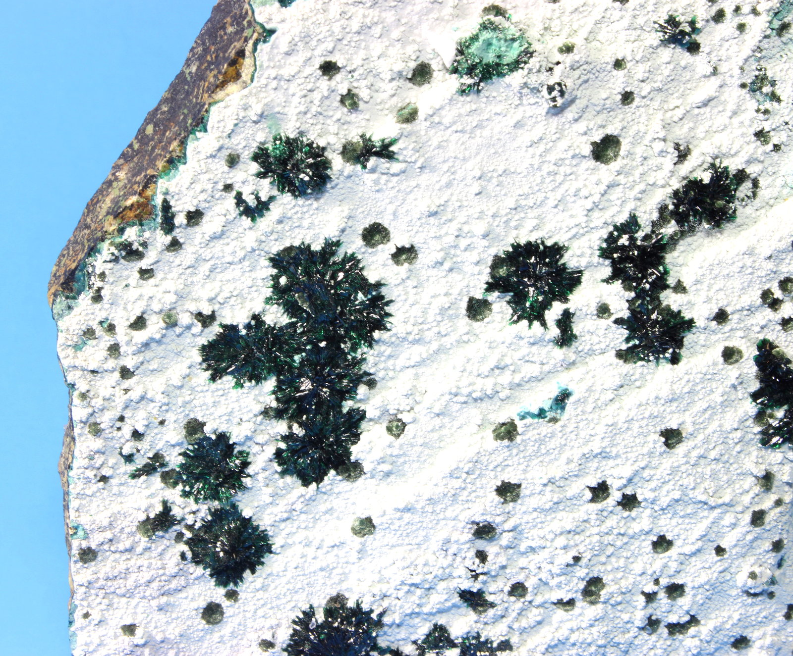 Atacamite
20 x 18 x 4.0 cm
(Autor: Don Lum)