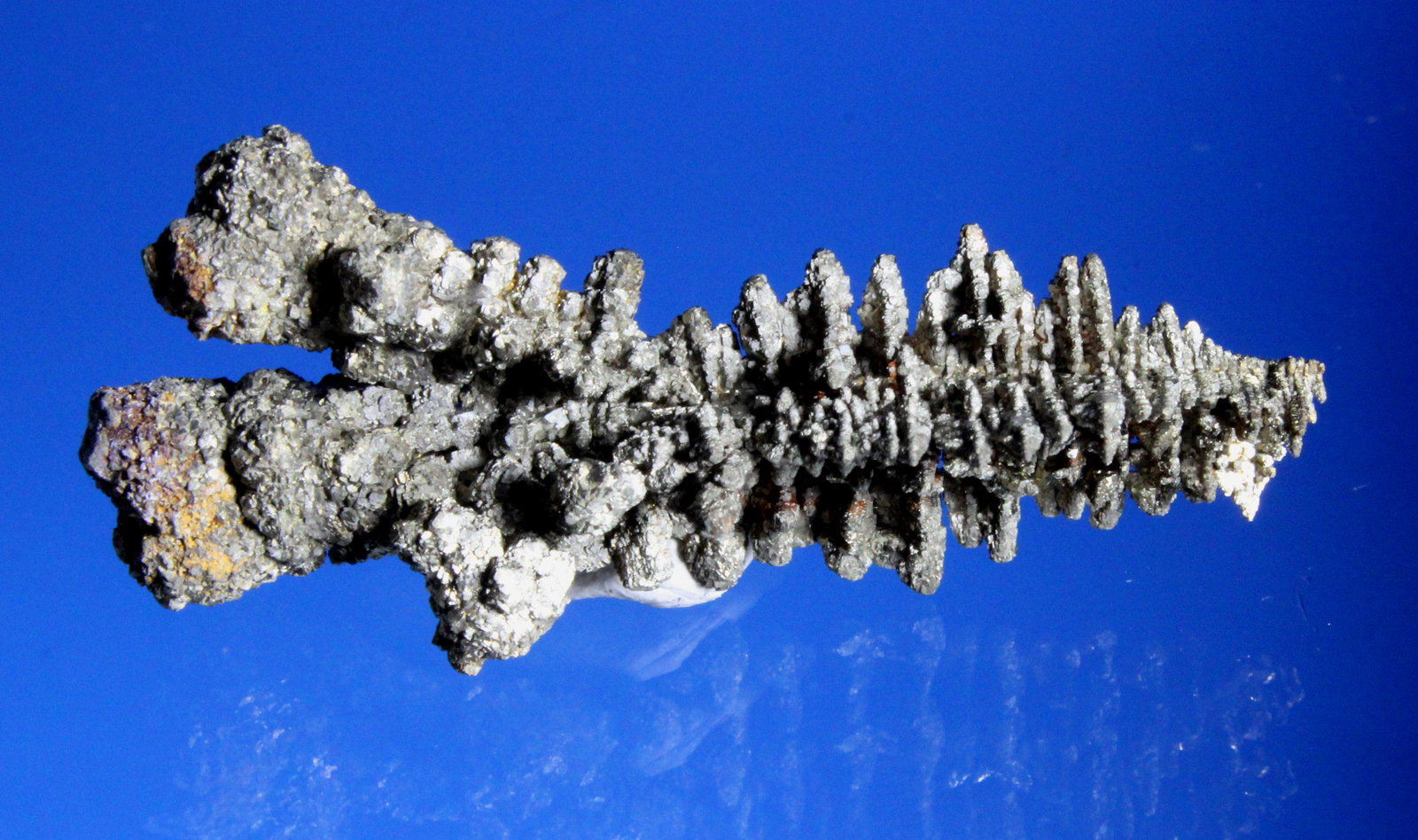 Pyrite, Marcasite
4.5 x 2.0 cm
(Autor: Don Lum)