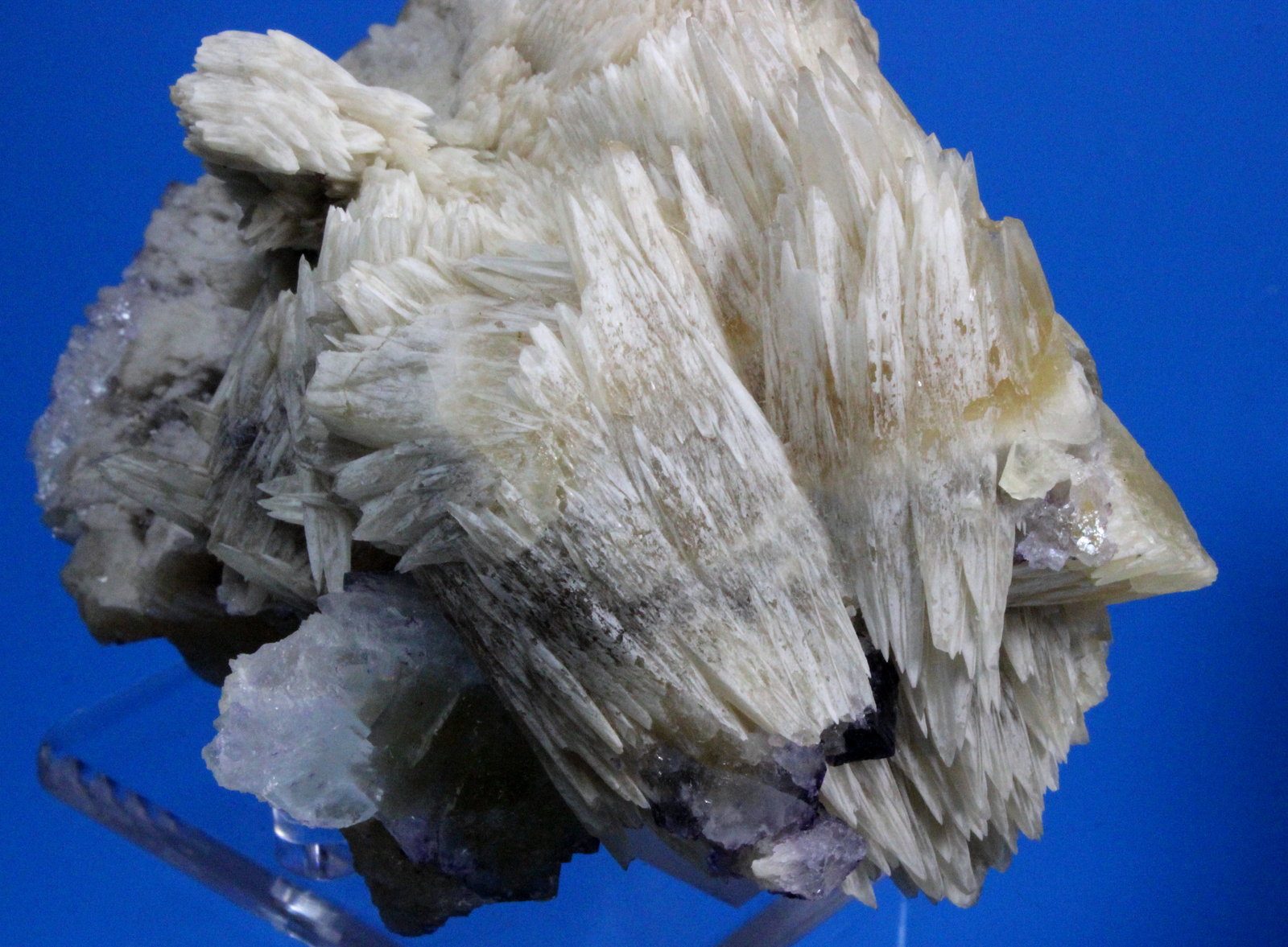 Strontianite, Calcite, Fluorite
10.5 x 10 cm
(Autor: Don Lum)