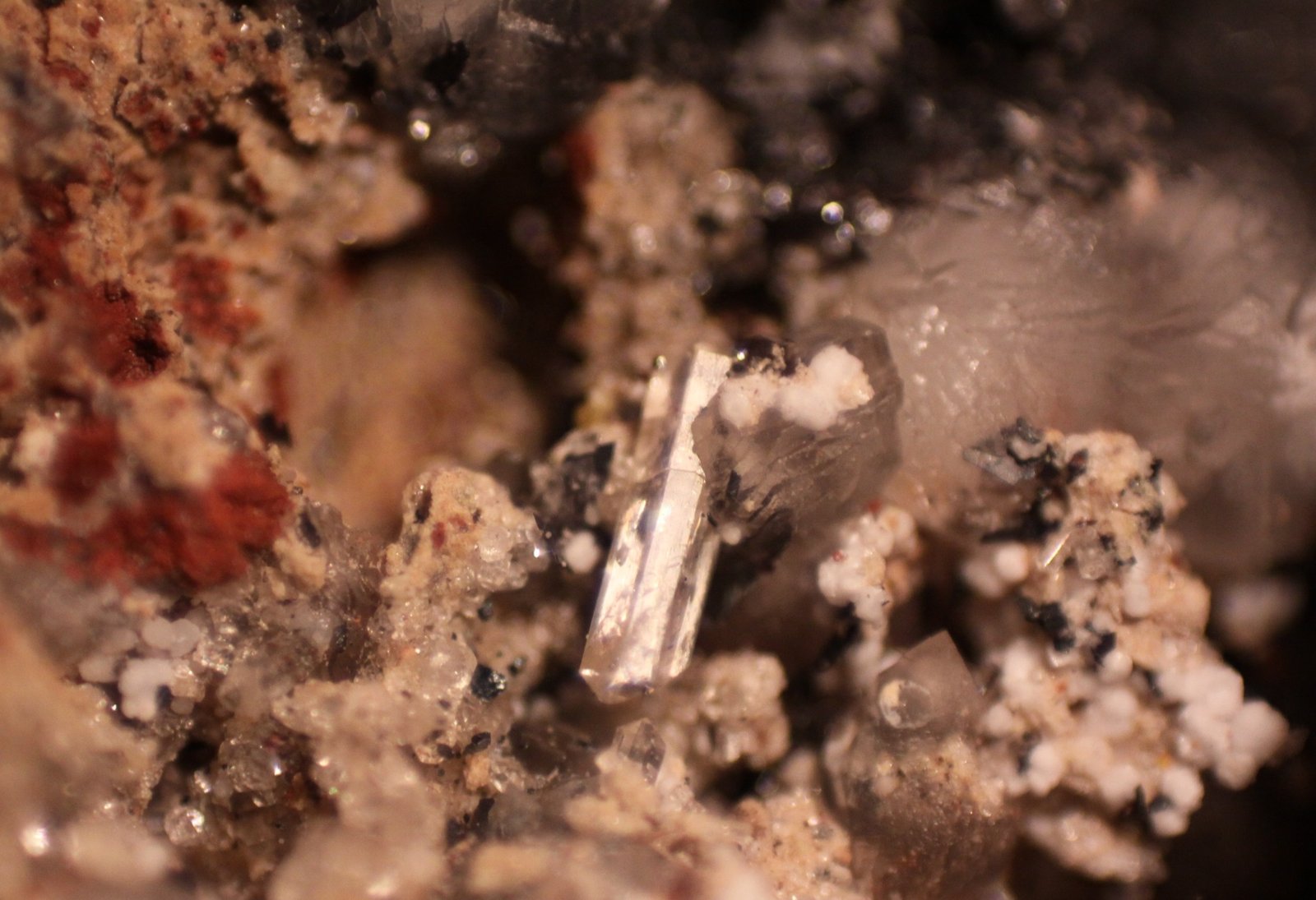 Fluorapatite
FOV 16 mm
(Autor: Firmo Espinar)