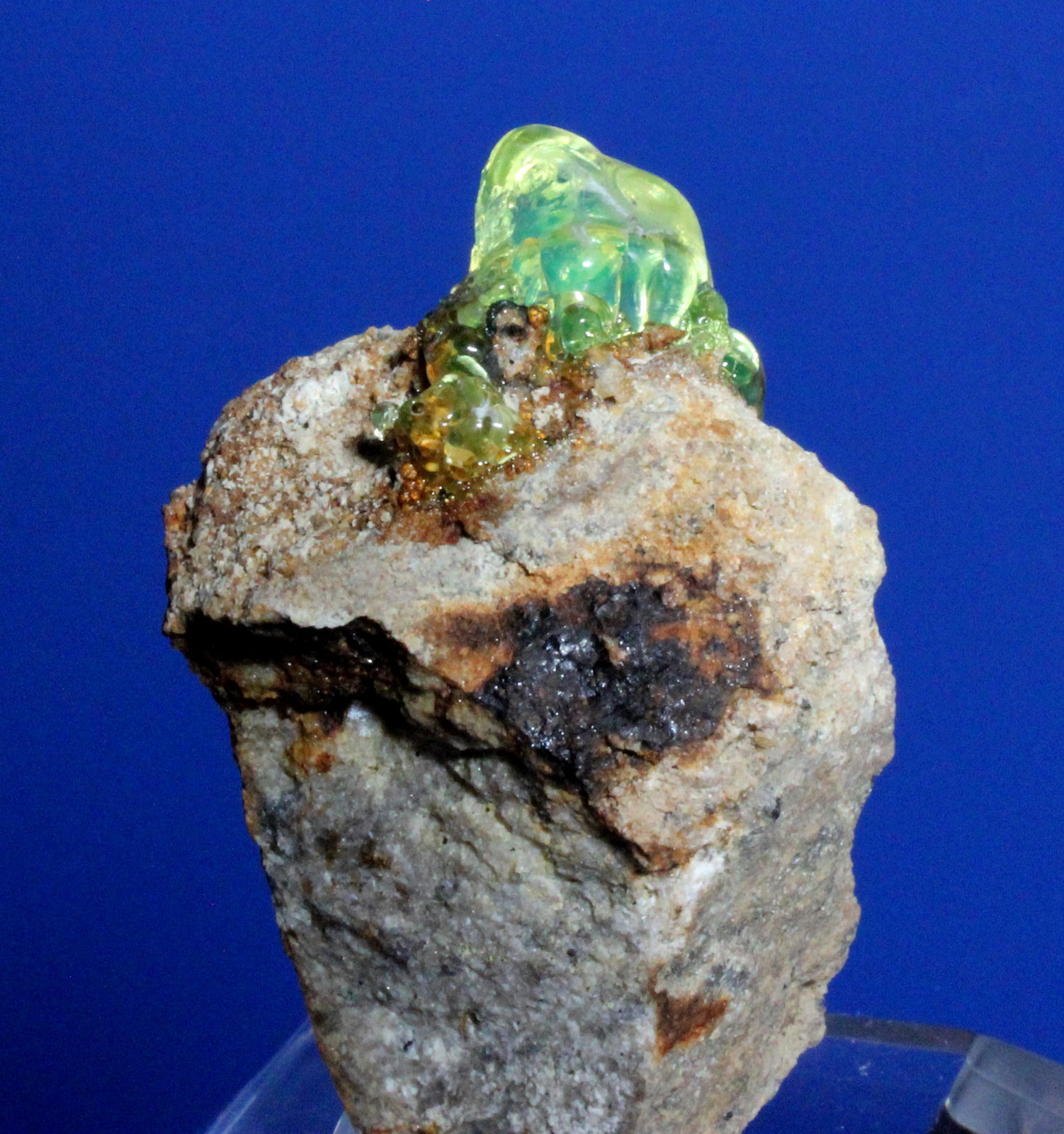 Opal var hyalite
4.1 x 2.8 x 2.1 cm
(Autor: Don Lum)
