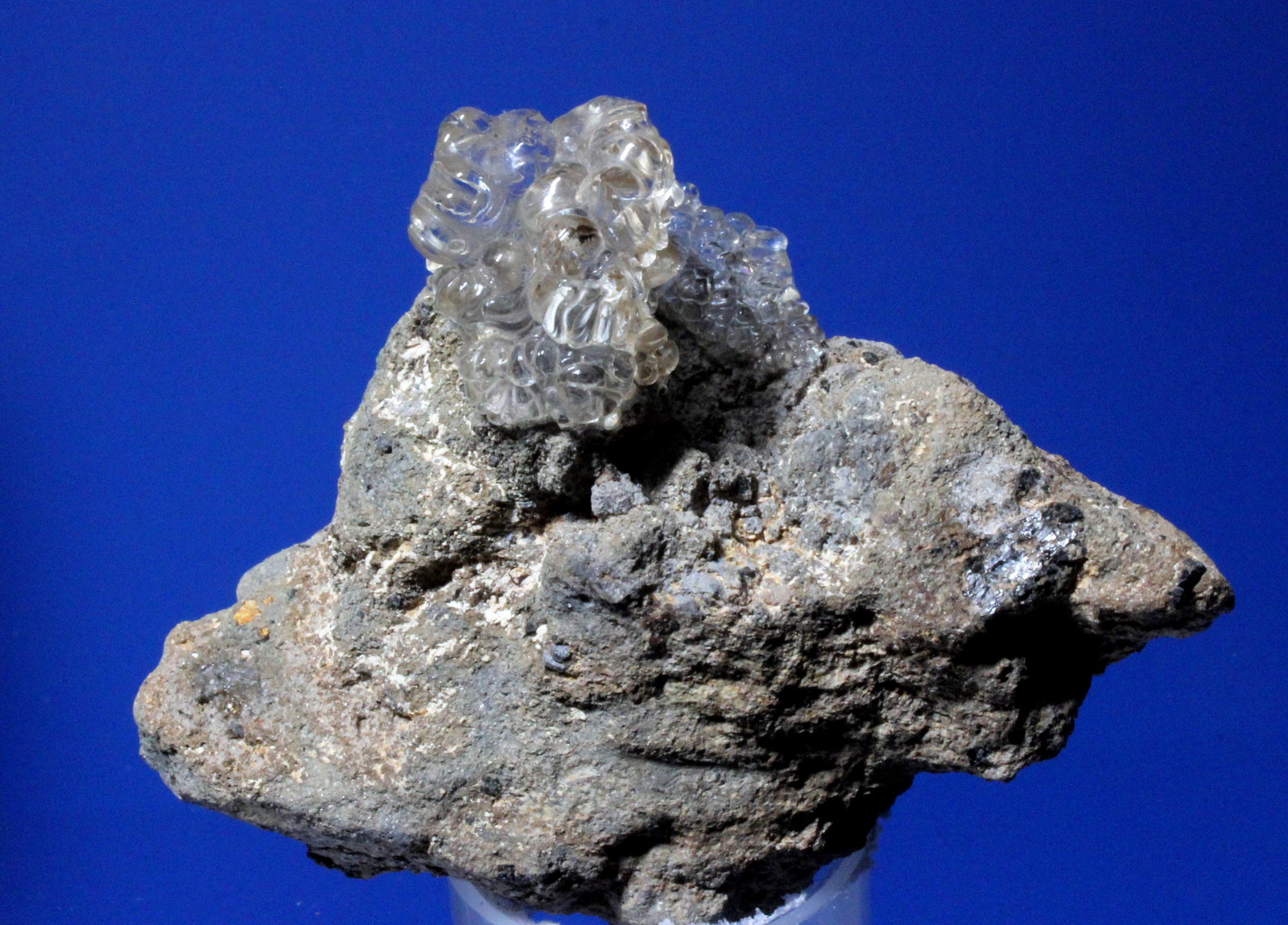Opal-AN
6.1 x 4.3 x 3.8 cm
(Autor: Don Lum)