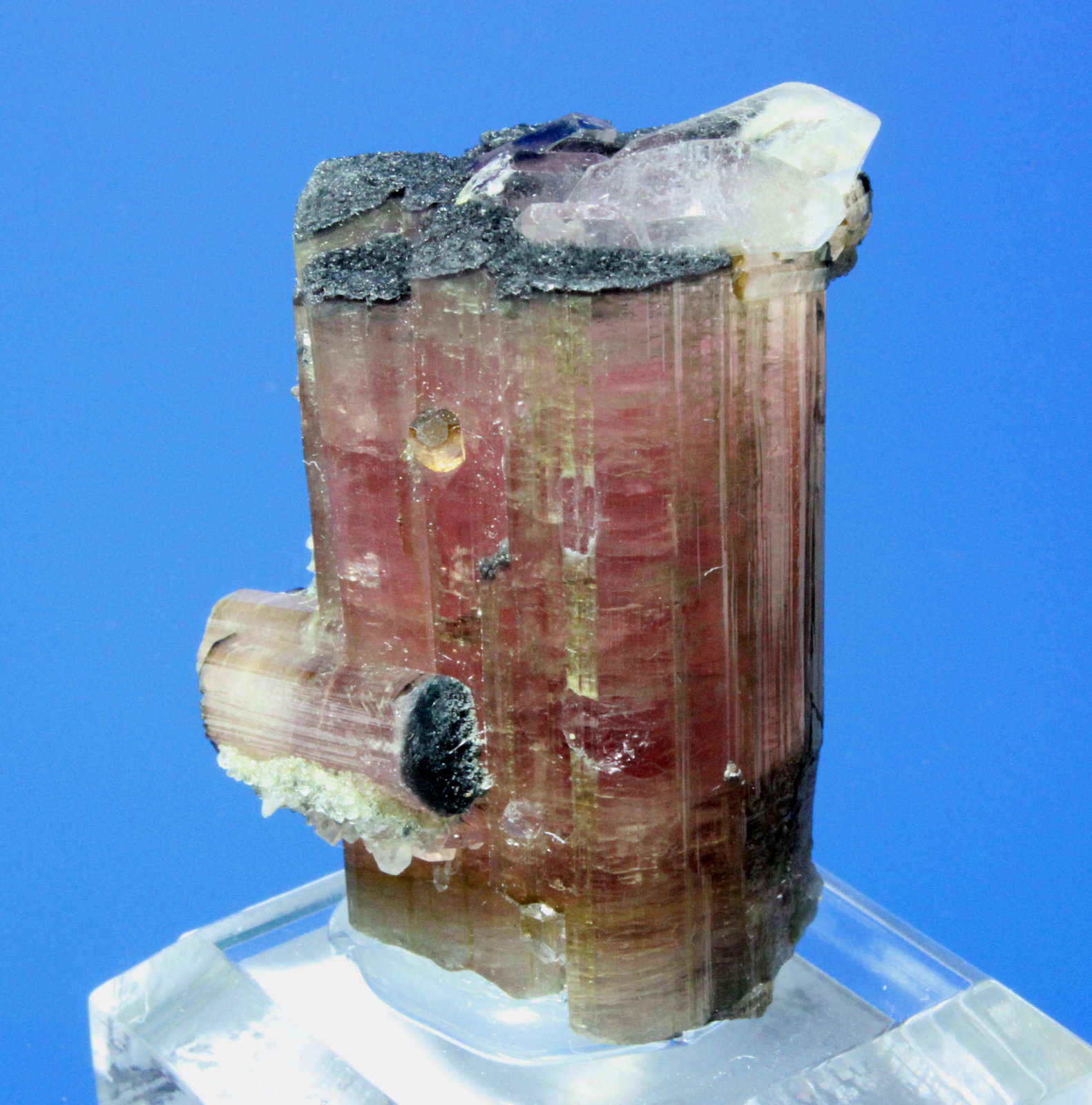Tourmaline, Quartz
4.2 x 3.5 cm
(Autor: Don Lum)