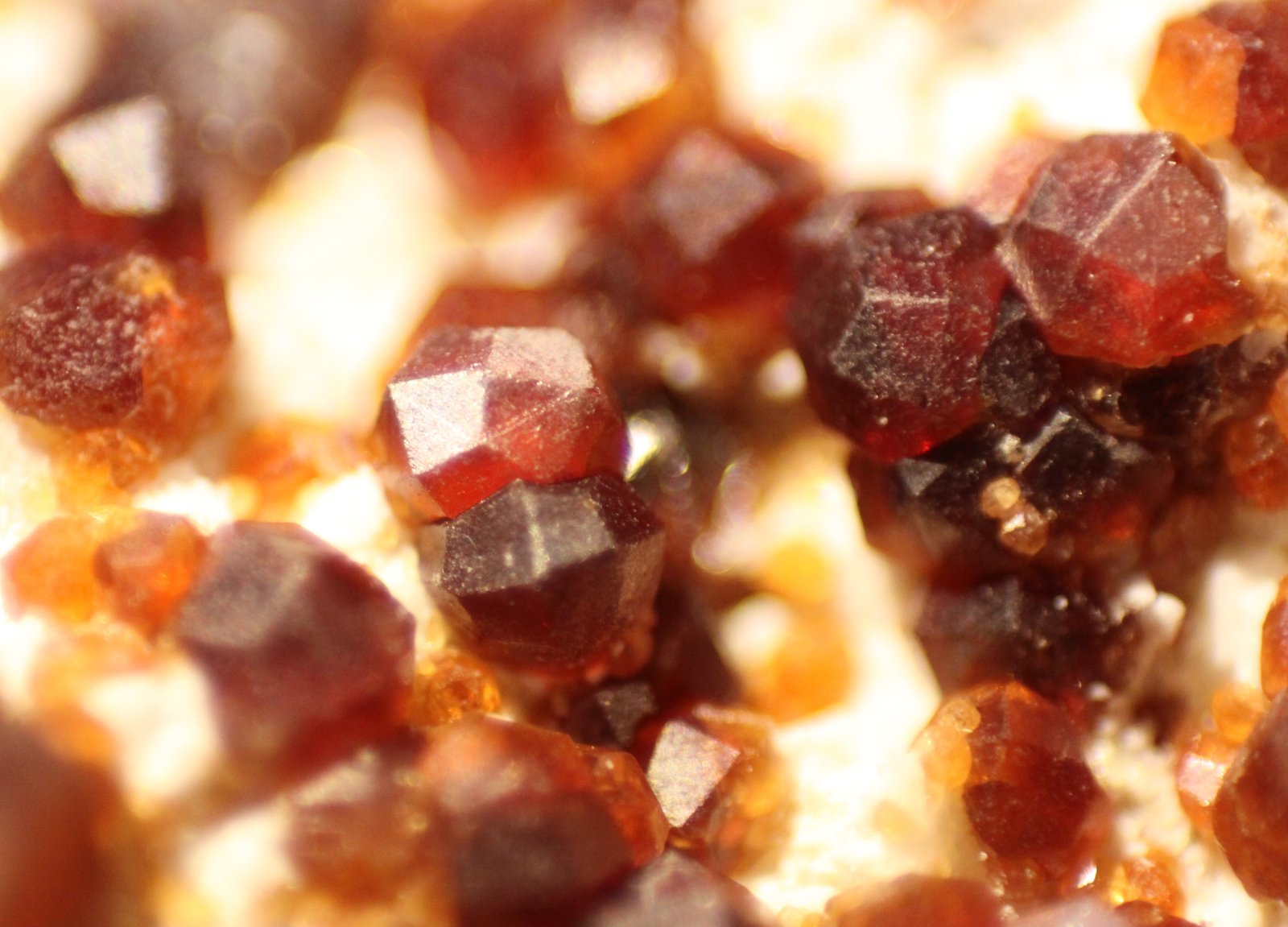 Spessartine
FOV 12 mm
(Autor: Firmo Espinar)