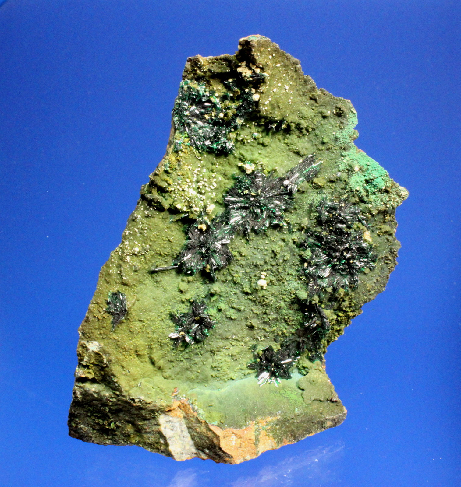 Atacamite
9.5 x 6.7 cm
(Autor: Don Lum)