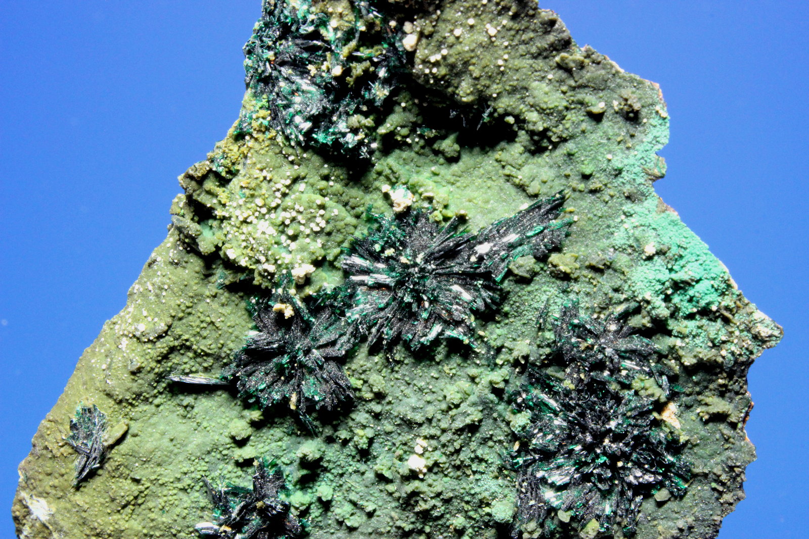 Atacamite
9.5 x 6.7 cm
(Autor: Don Lum)