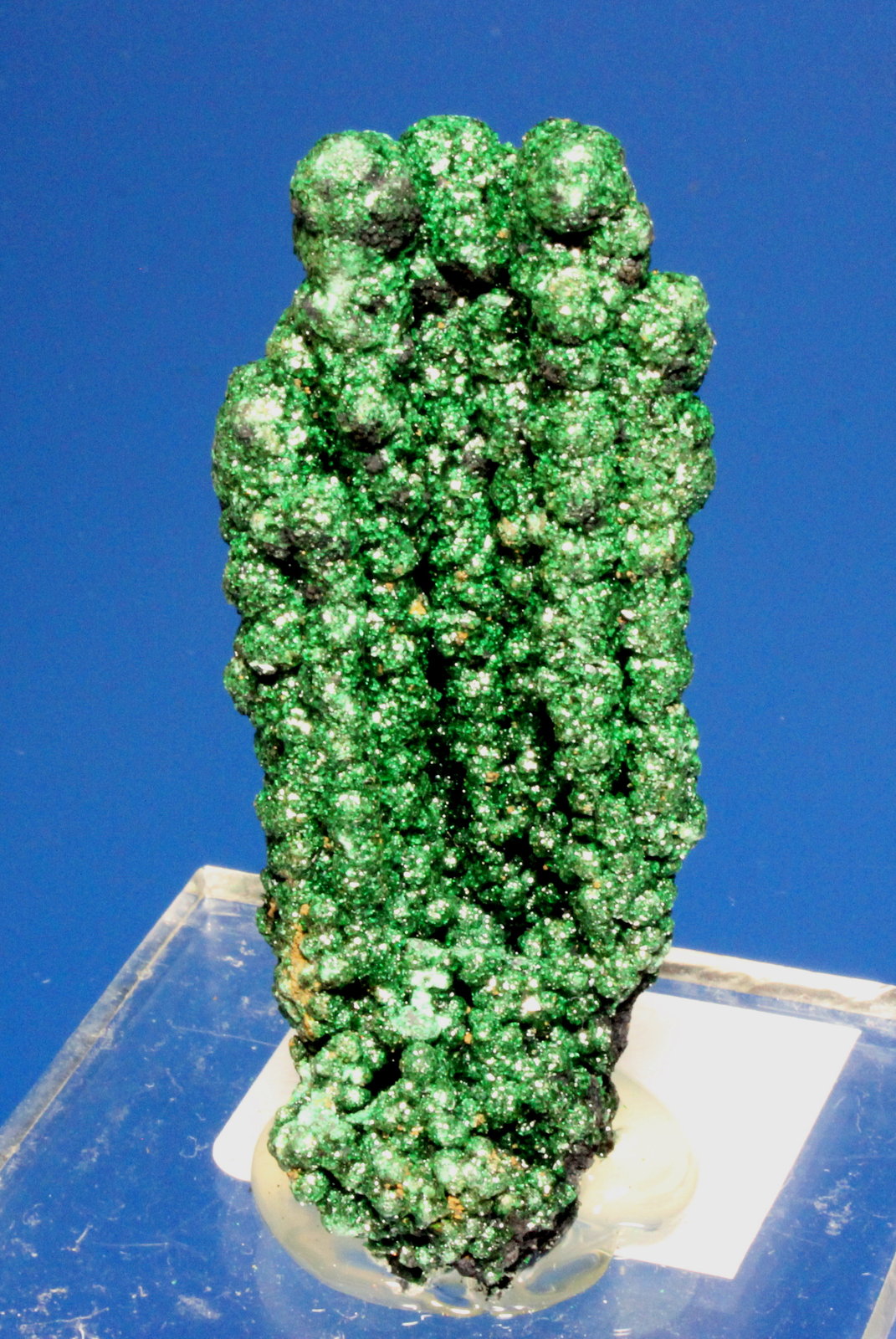 Malachite
6 x 2.8 cm
(Autor: Don Lum)