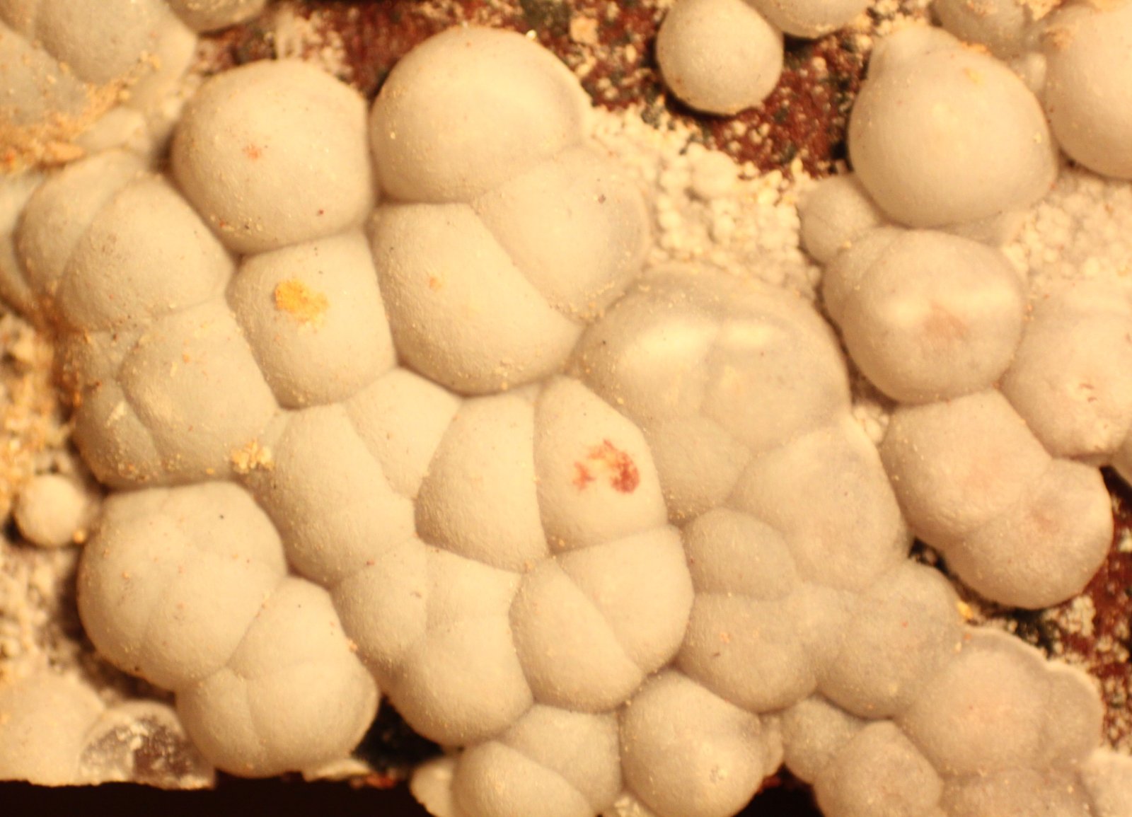 Calcite
FOV 14 mm
(Autor: Firmo Espinar)