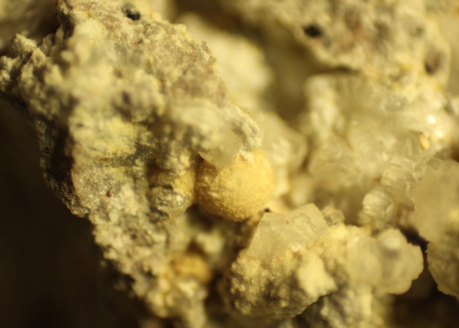 Ferrierite-Mg and Clinoptilolite-Ca
FOV = 6 mm.
(Autor: Firmo Espinar)