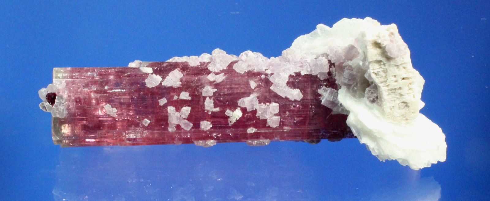 Elbaite (Tourmaline Group), Lepidolite, Albite (var. cleavelandite), Orthoclase
9.2 x 4.0 cm
(Autor: Don Lum)