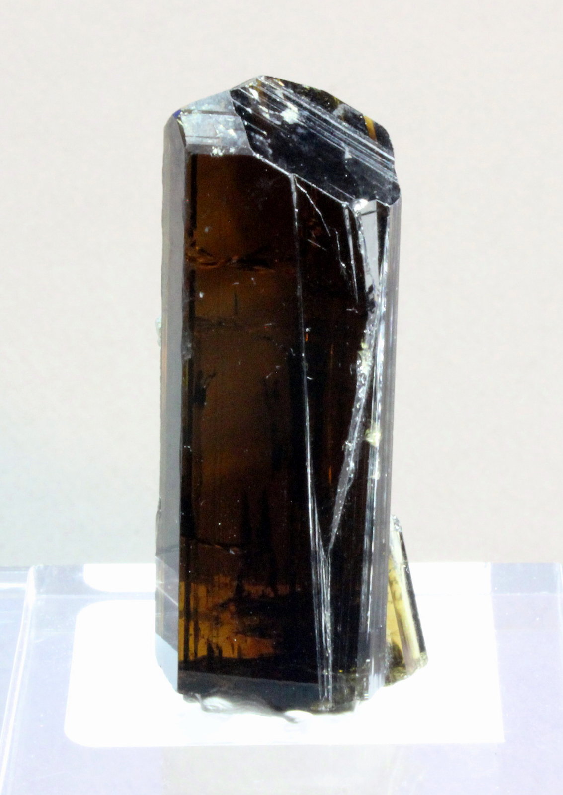 Epidote
5.5 x 2.2 cm
(Autor: Don Lum)