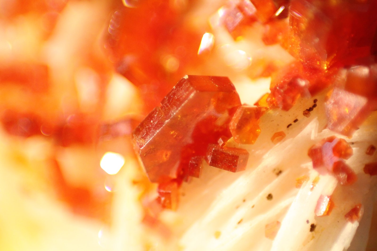 Vanadinite and Baryte
FOV 11mm
(Autor: Firmo Espinar)