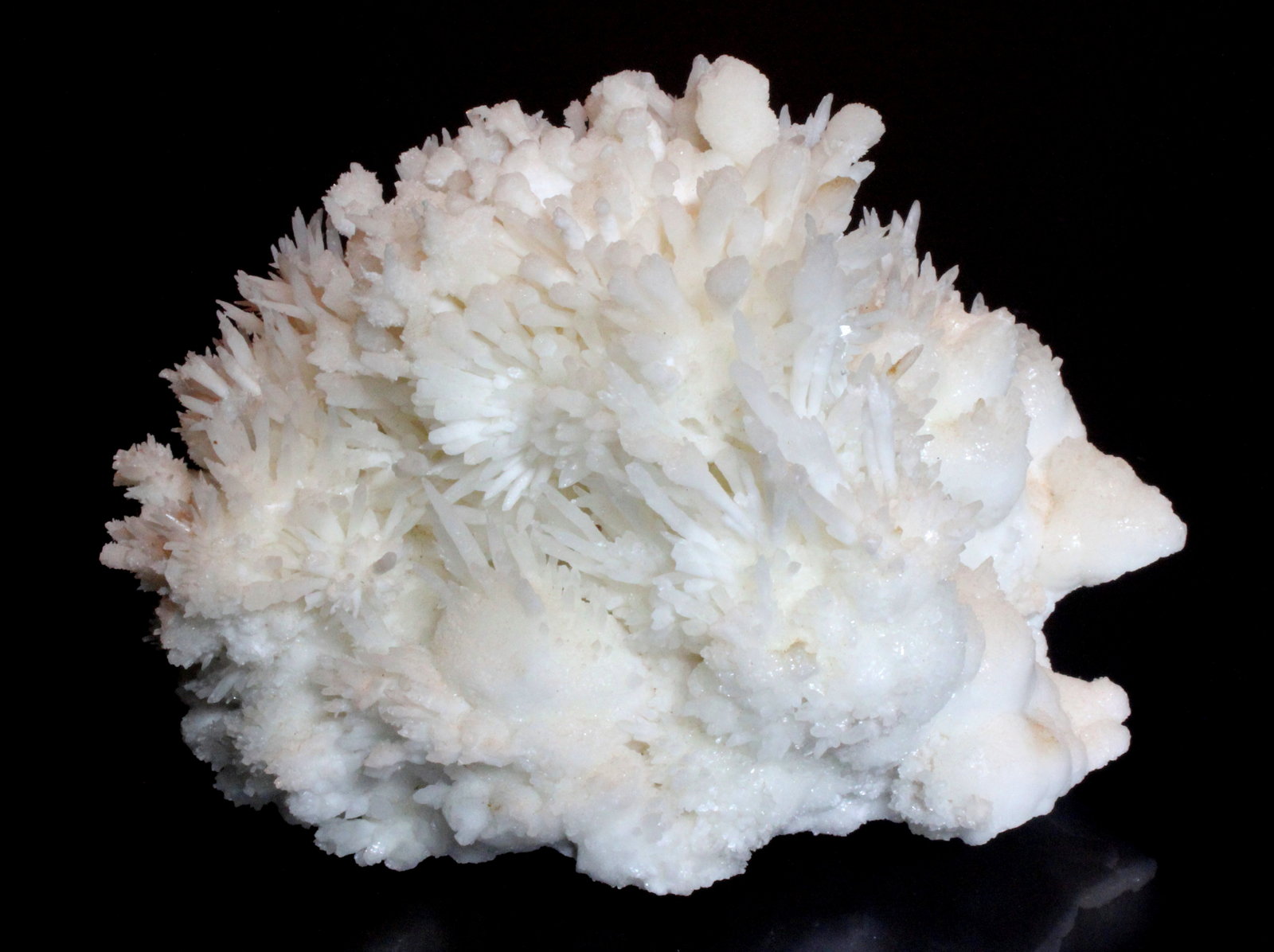 Aragonite
11 x 7.4 cm
(Autor: Don Lum)