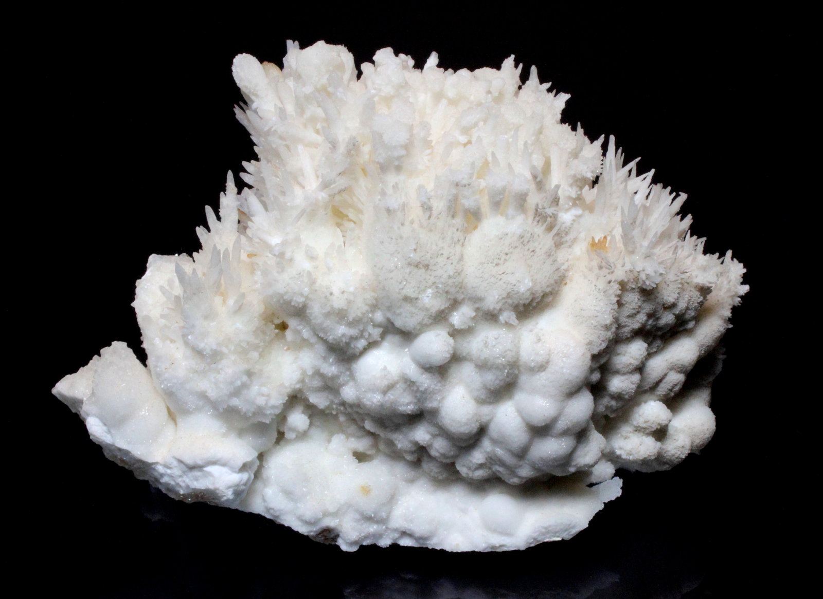 Aragonite
11 x 7.4 cm
(Autor: Don Lum)