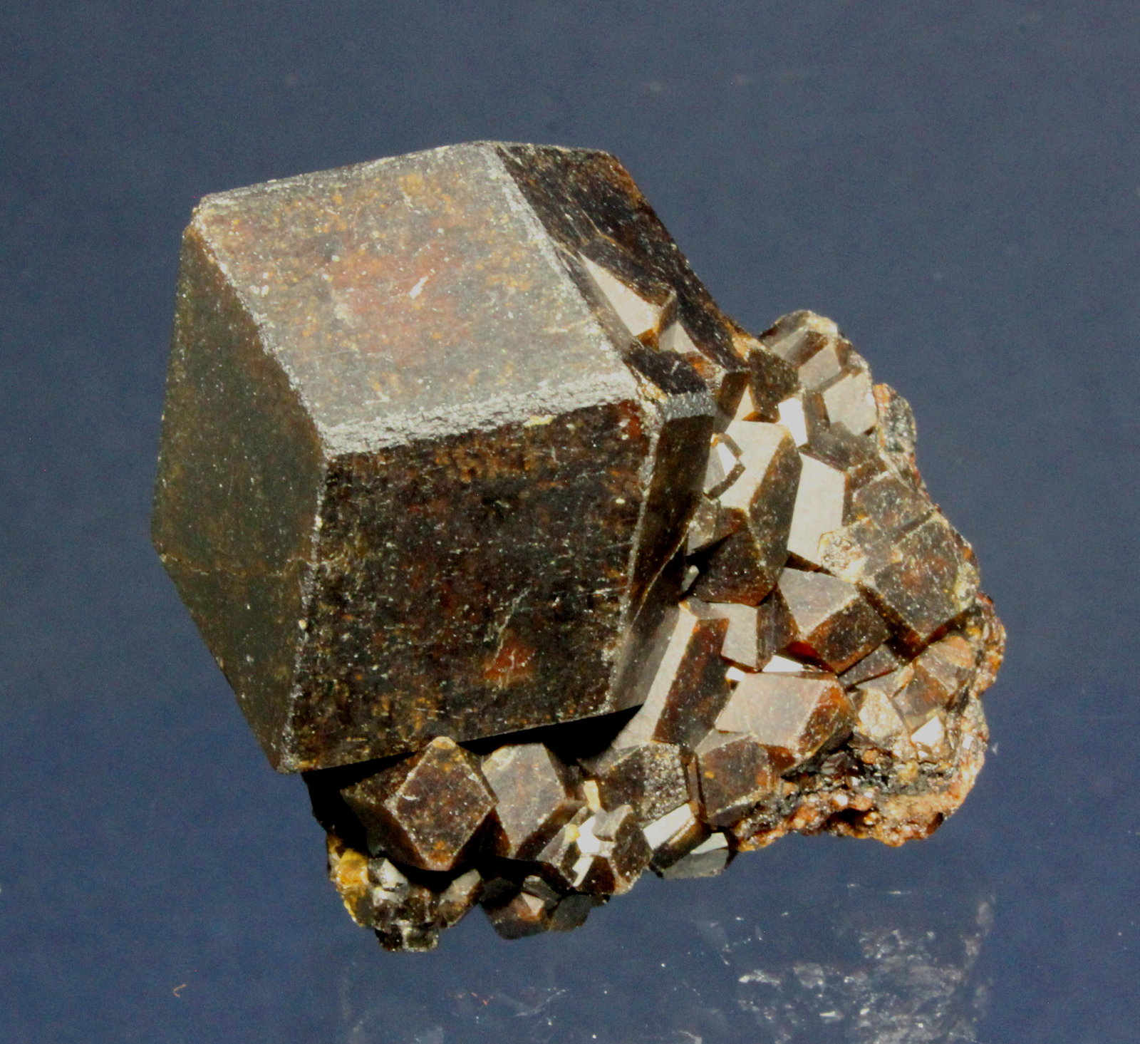 Andradite (Garnet Group)
3.9 x3.2 cm
(Autor: Don Lum)