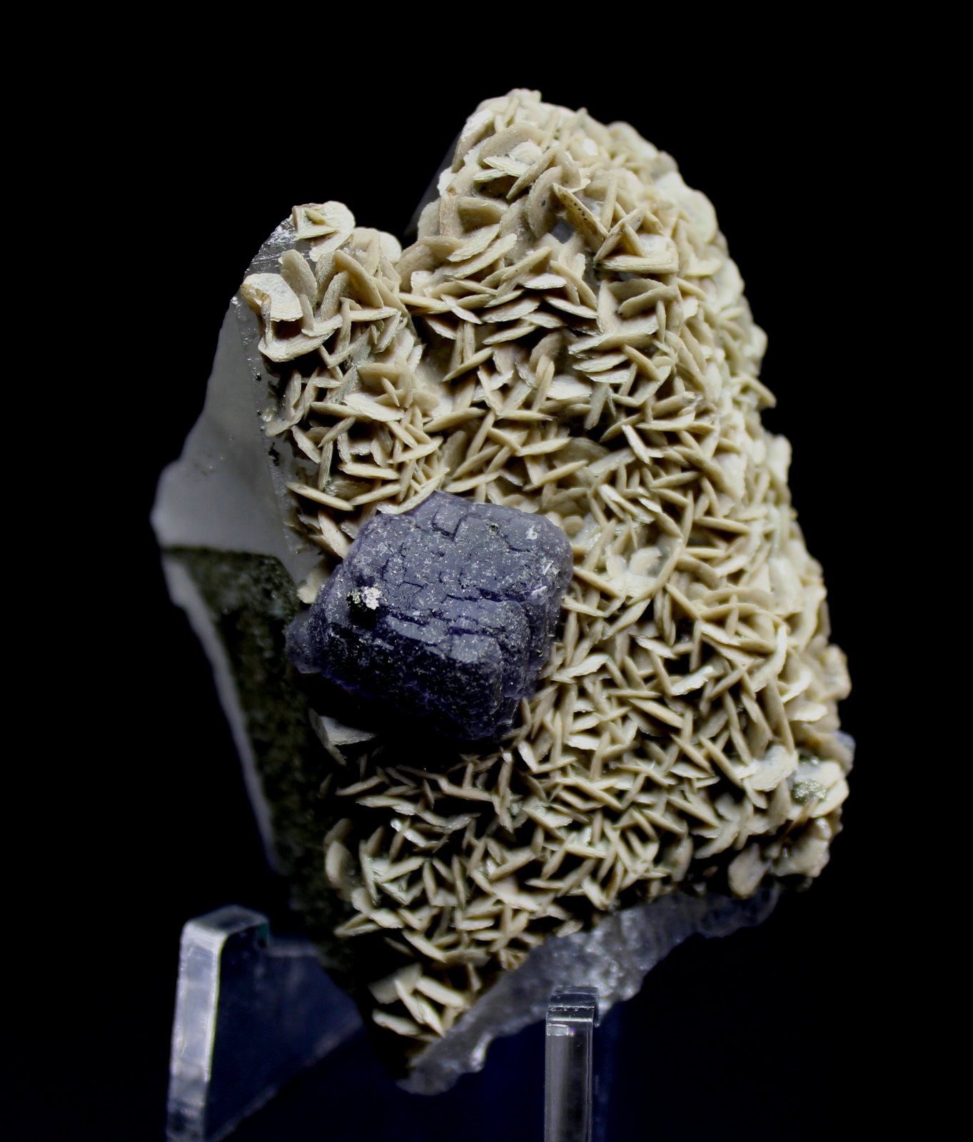Fluorite, Siderite, Pyrite, Quartz
6.3 x 4.2 cm
(Autor: Don Lum)