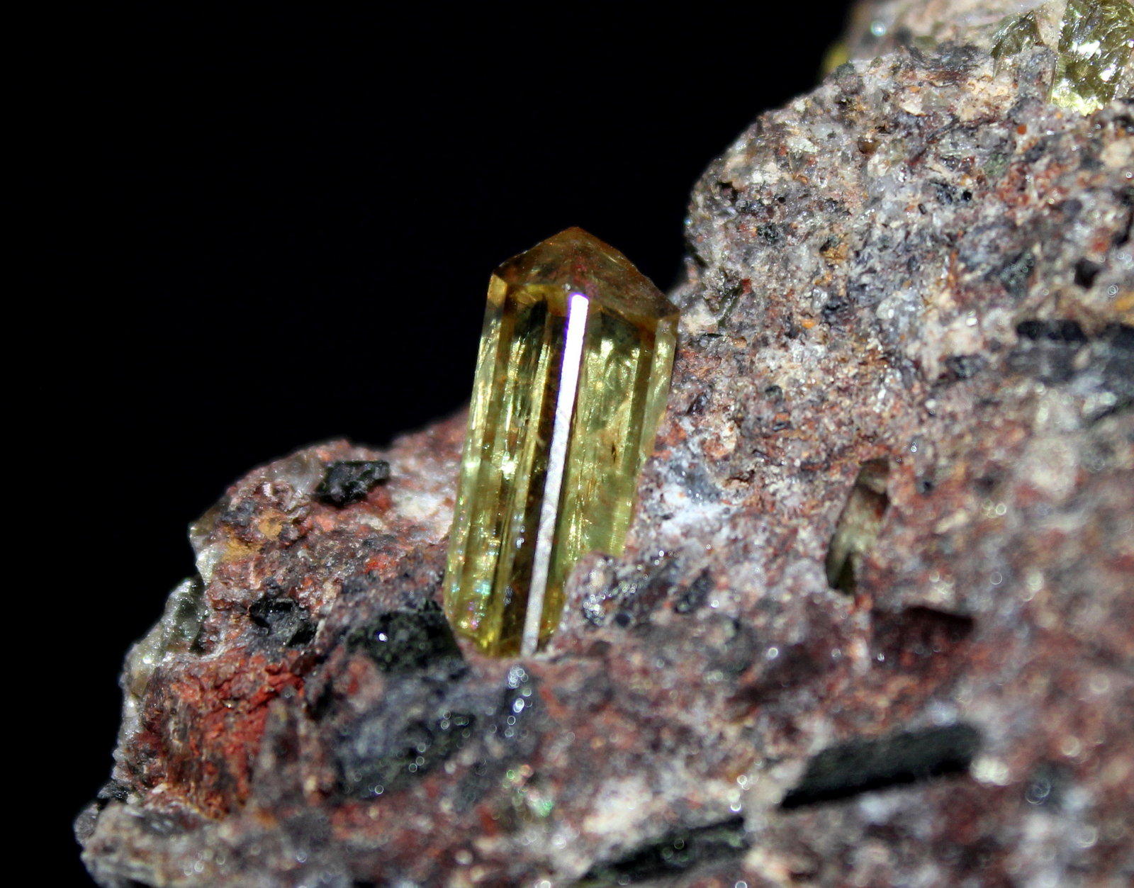 Fluorapatite
11.2 x 8.0 cm
(Autor: Don Lum)
