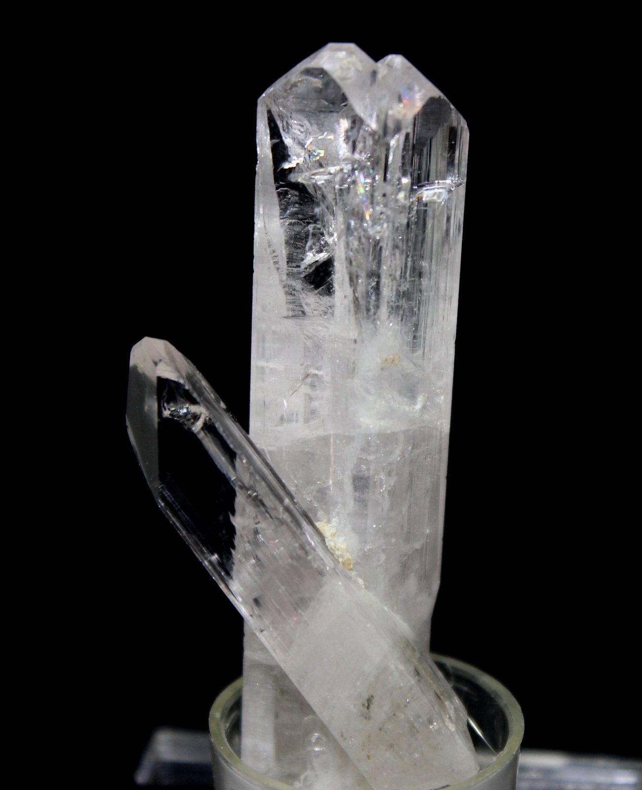 Danburite
6.0 x 3.0 cm
(Autor: Don Lum)