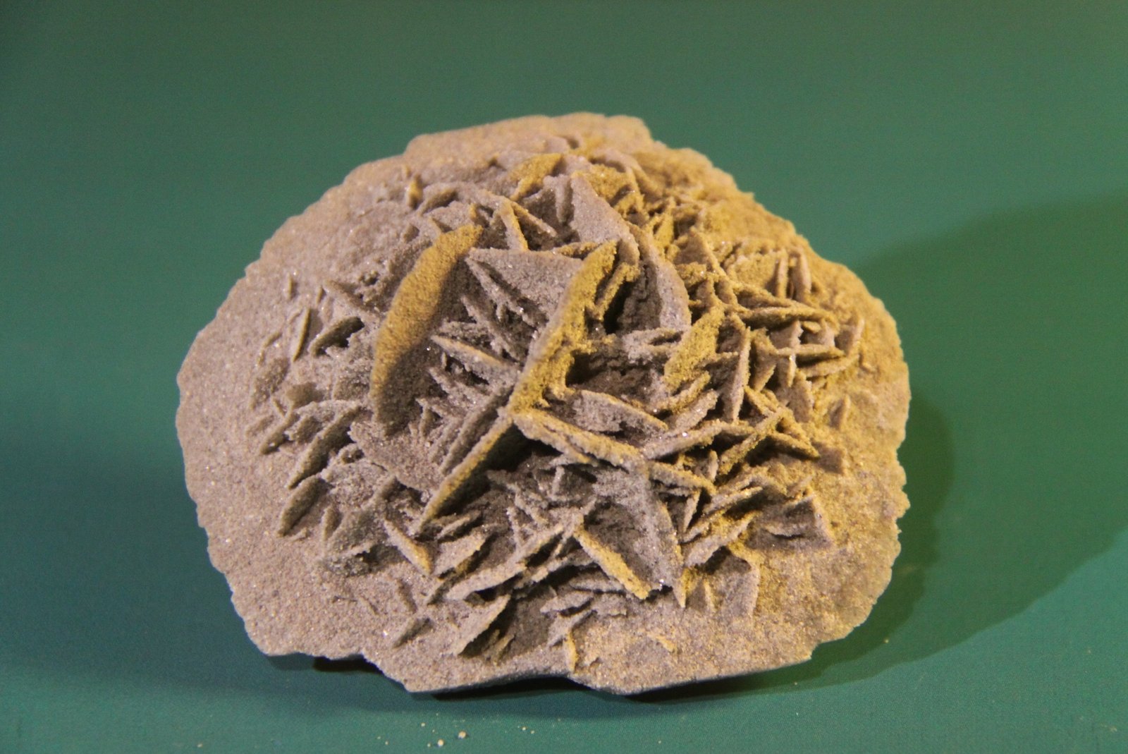 Gypsum
68mm x 59mm x 32mm
(Autor: Firmo Espinar)