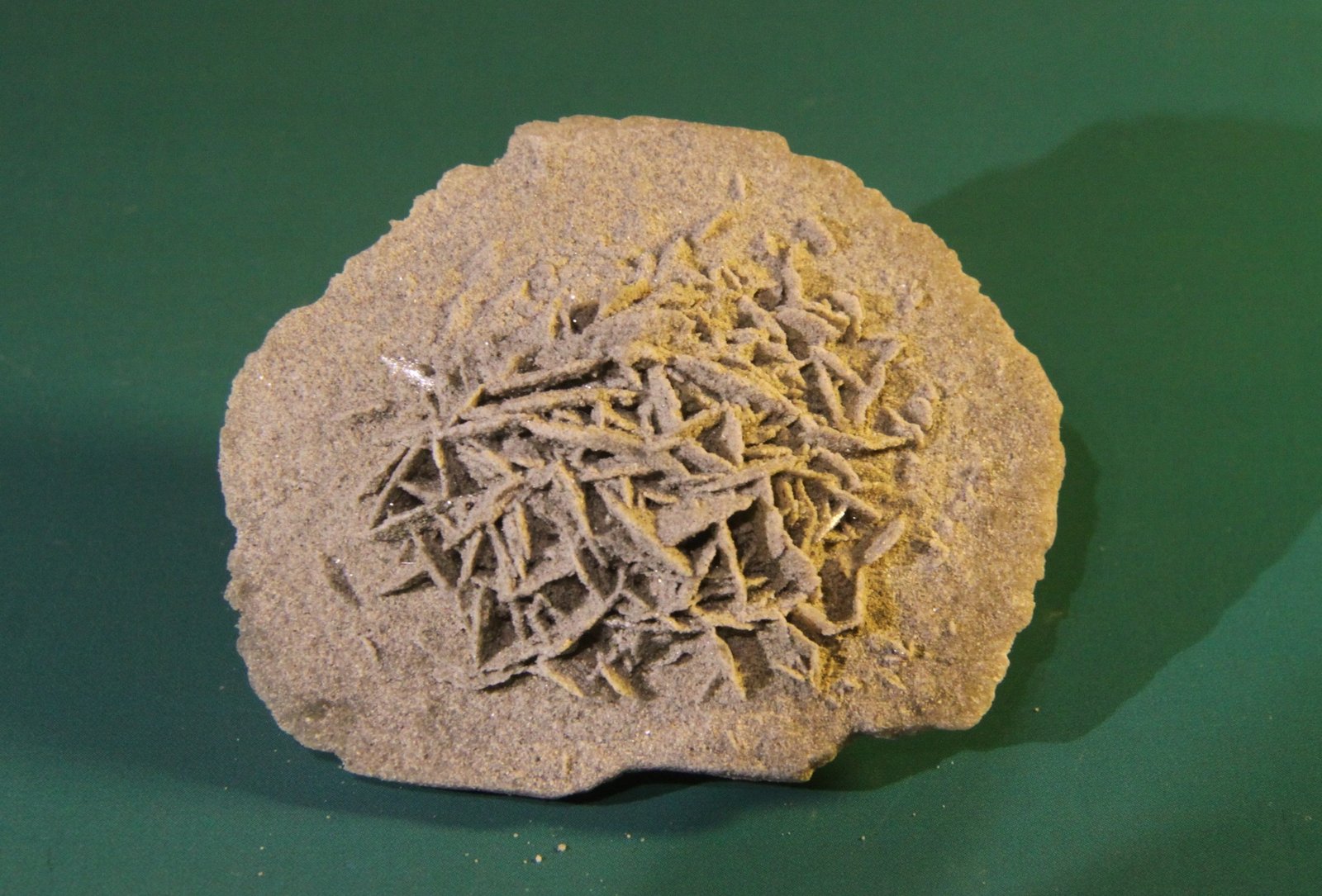 Gypsum
68mm x 59mm x 32mm
(Autor: Firmo Espinar)