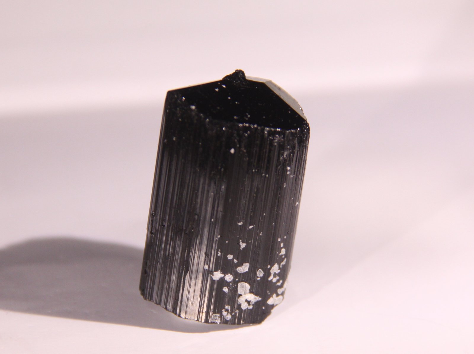 Dravite (Tourmaline Group)
22mm x 34mm x 20mm
(Autor: Firmo Espinar)
