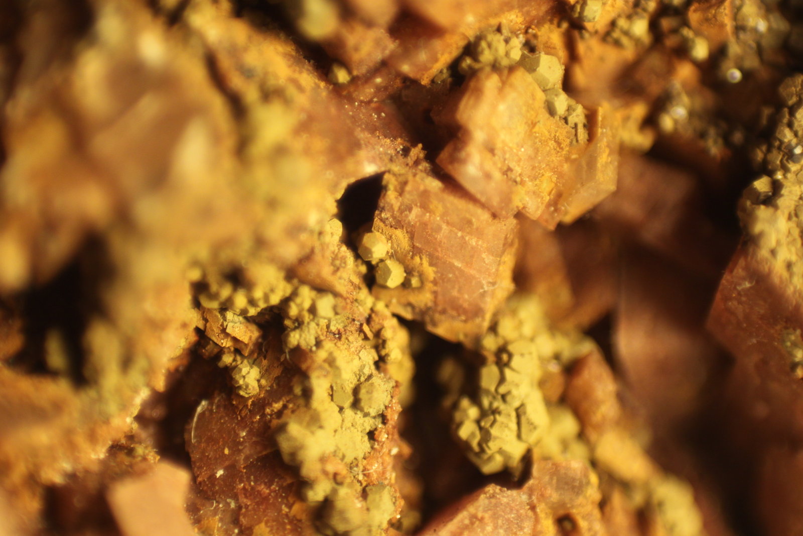 limonite after Pyrite
FOV 9 mm
(Autor: Firmo Espinar)