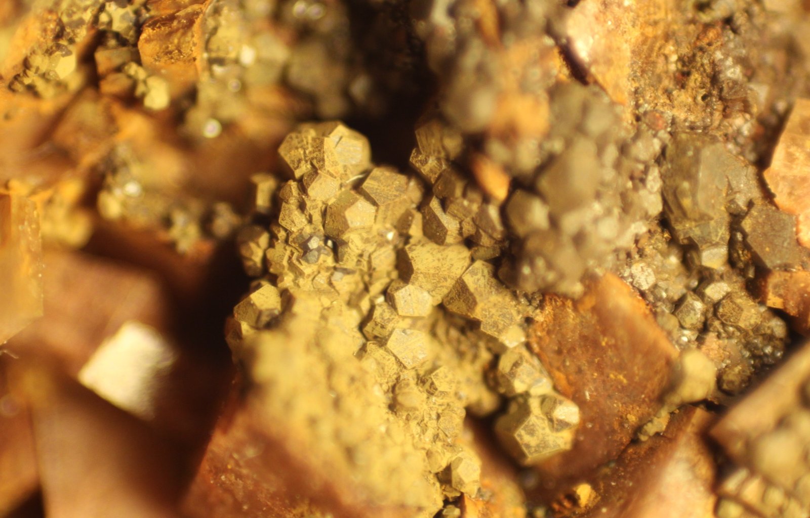 limonite after Pyrite
FOV 7 mm
(Autor: Firmo Espinar)