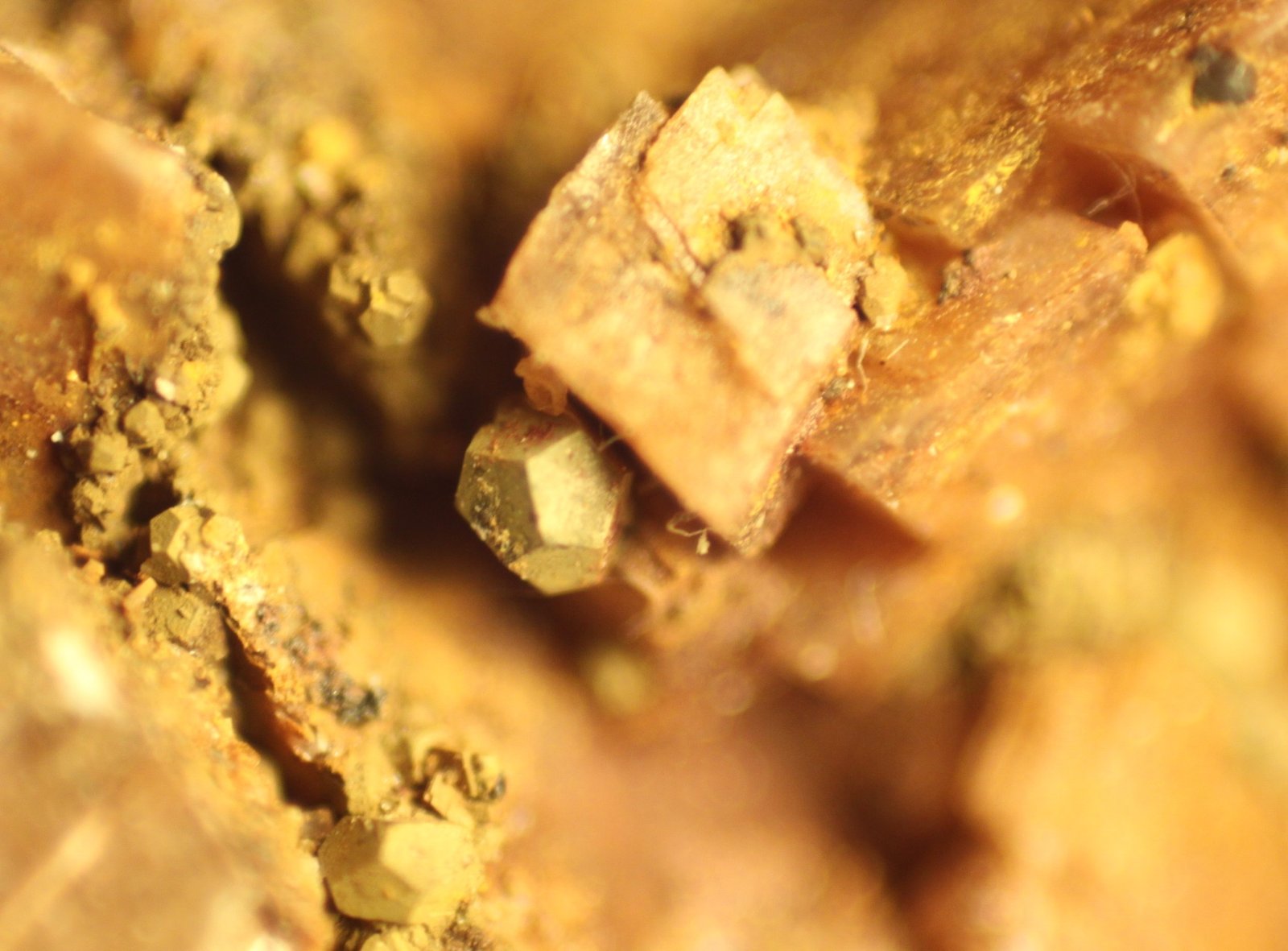 limonite after Pyrite on Dolomite
FOV 6 mm
(Autor: Firmo Espinar)