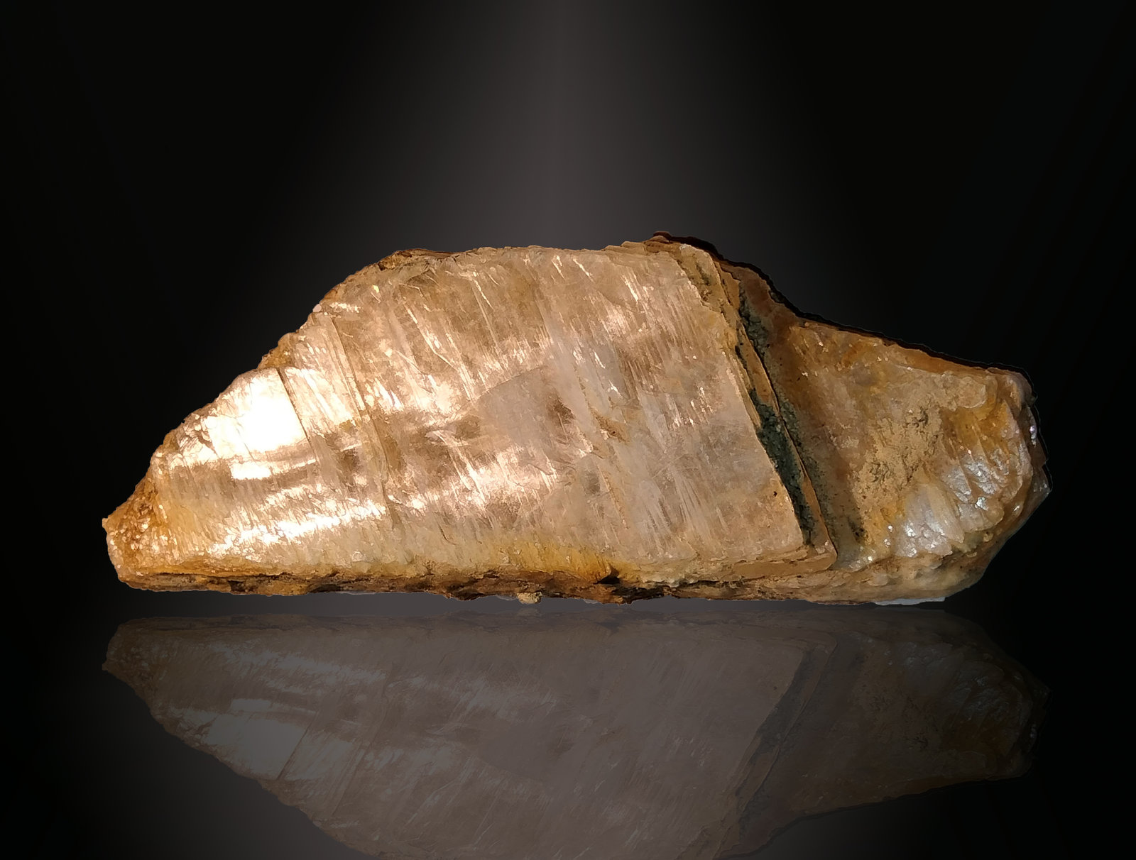 Gypsum
82 mm x 37 mm x 12 mm
(Autor: Firmo Espinar)
