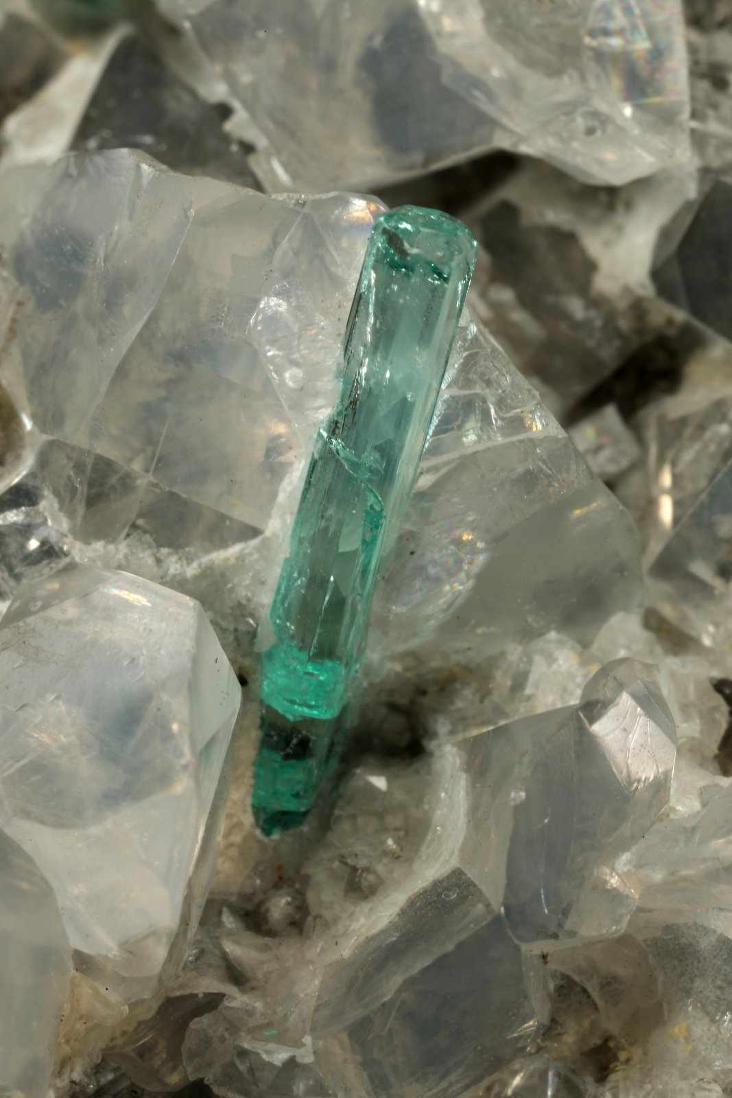 Beryl (variety emerald), Calcite, Pyrite, Dolomite
98x70x38mm, xl=31mm
(Autor: Fiebre Verde)
