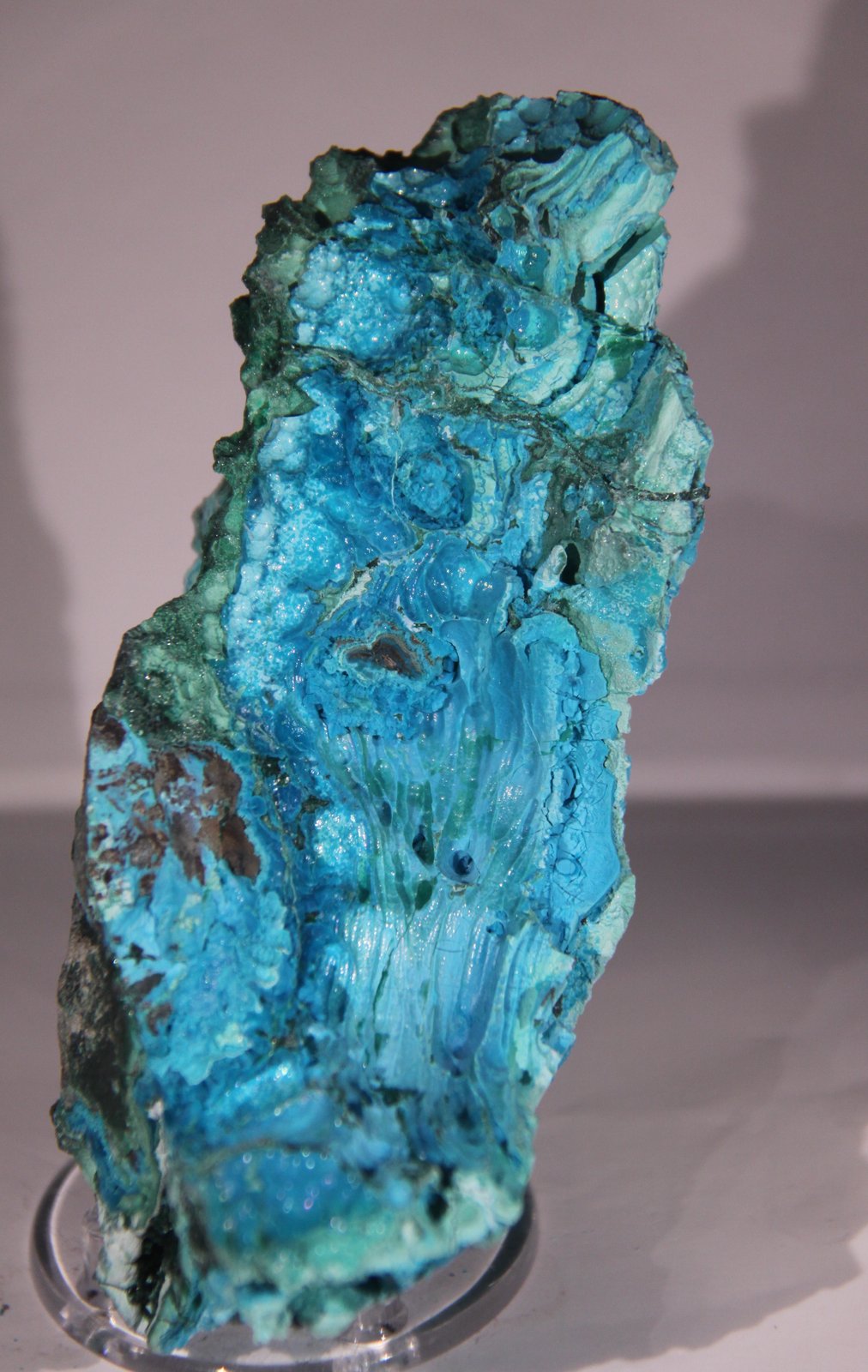Chrysocolla
56mm x 121mm x 65mm
(Autor: Firmo Espinar)