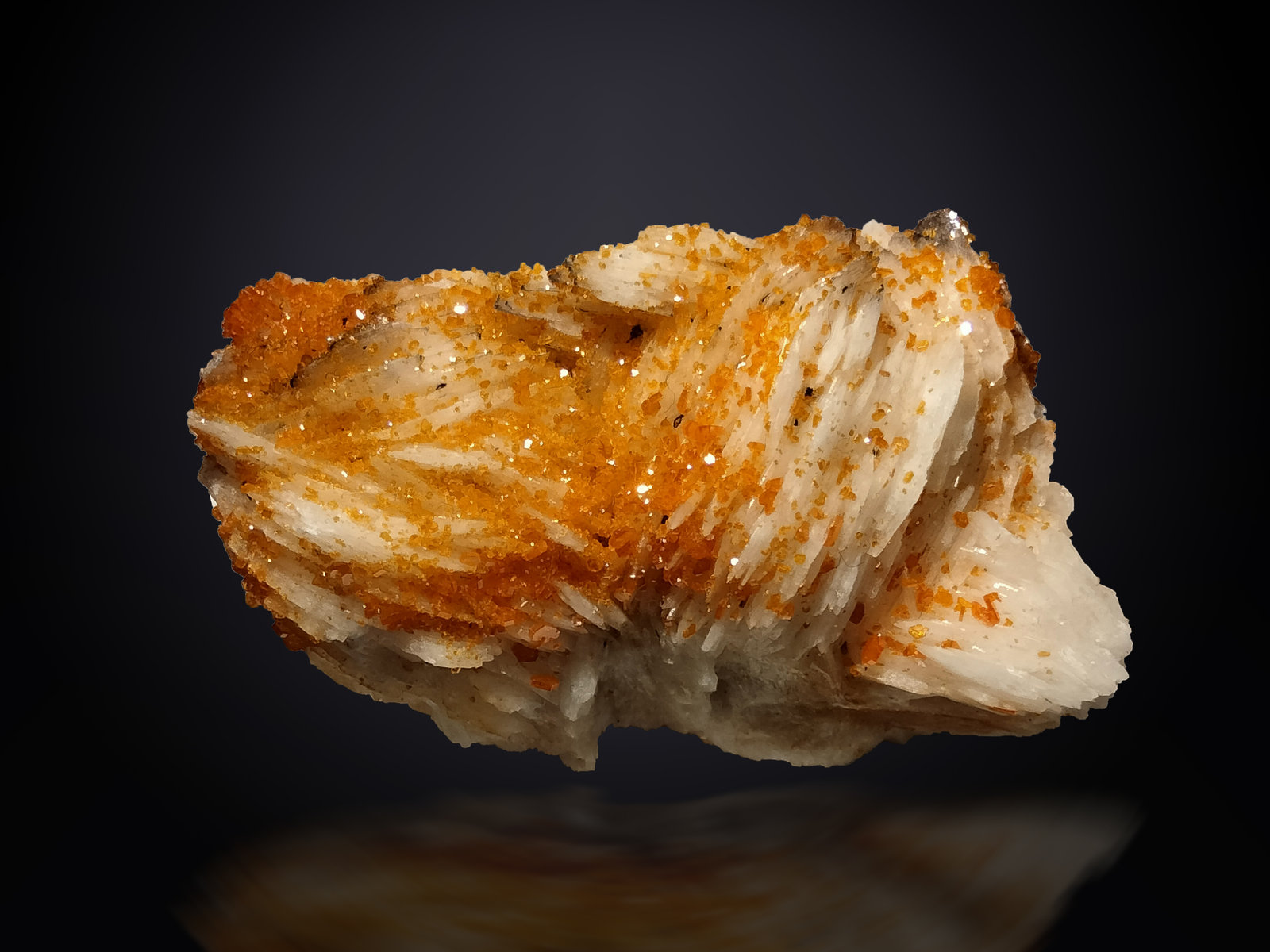 Vanadinite and Baryte
54 mm x 32 mm x 28 mm
(Autor: Firmo Espinar)