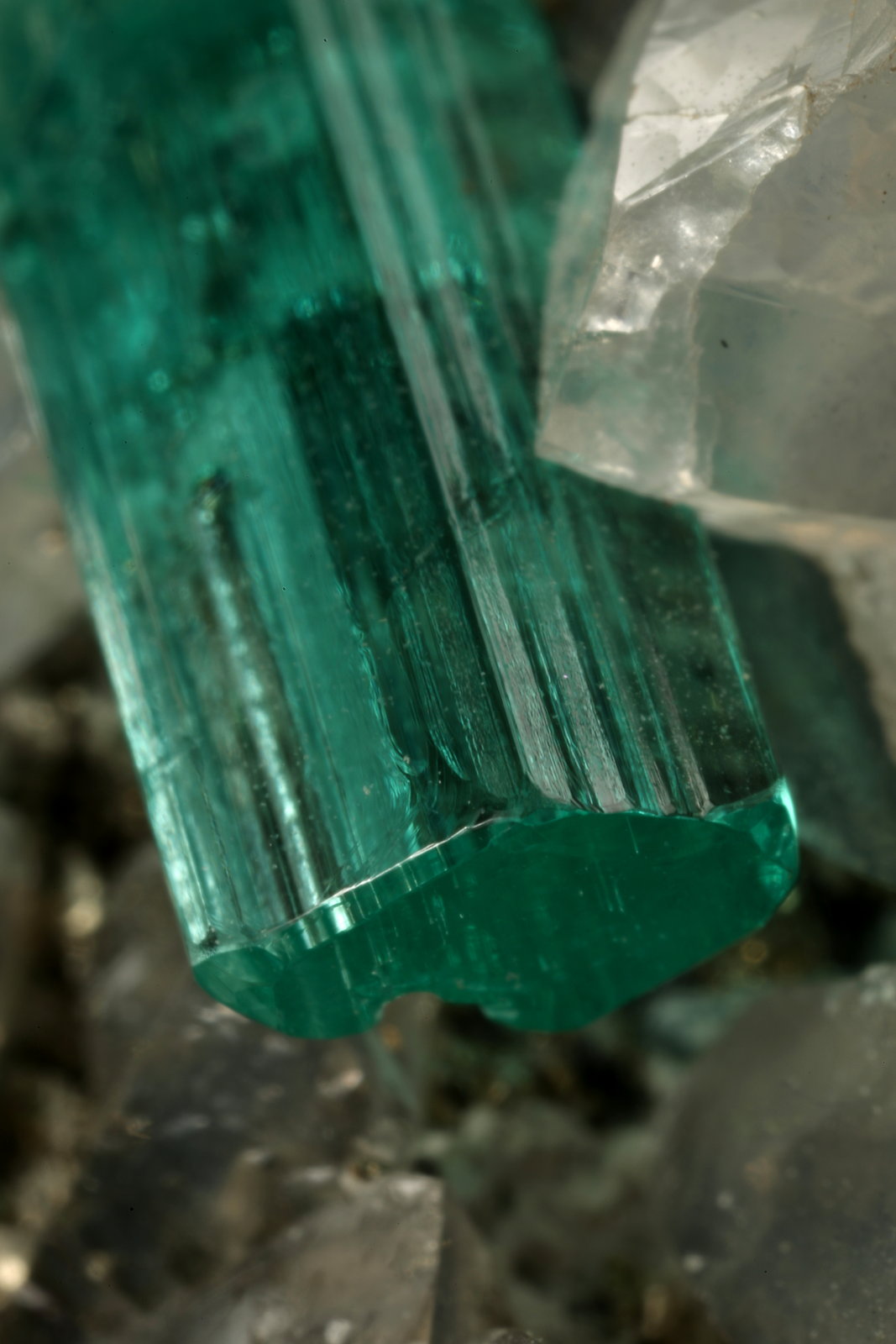 Beryl (variety emerald), Calcite, Pyrite, Dolomite
98x70x38mm, xl=31mm
(Autor: Fiebre Verde)