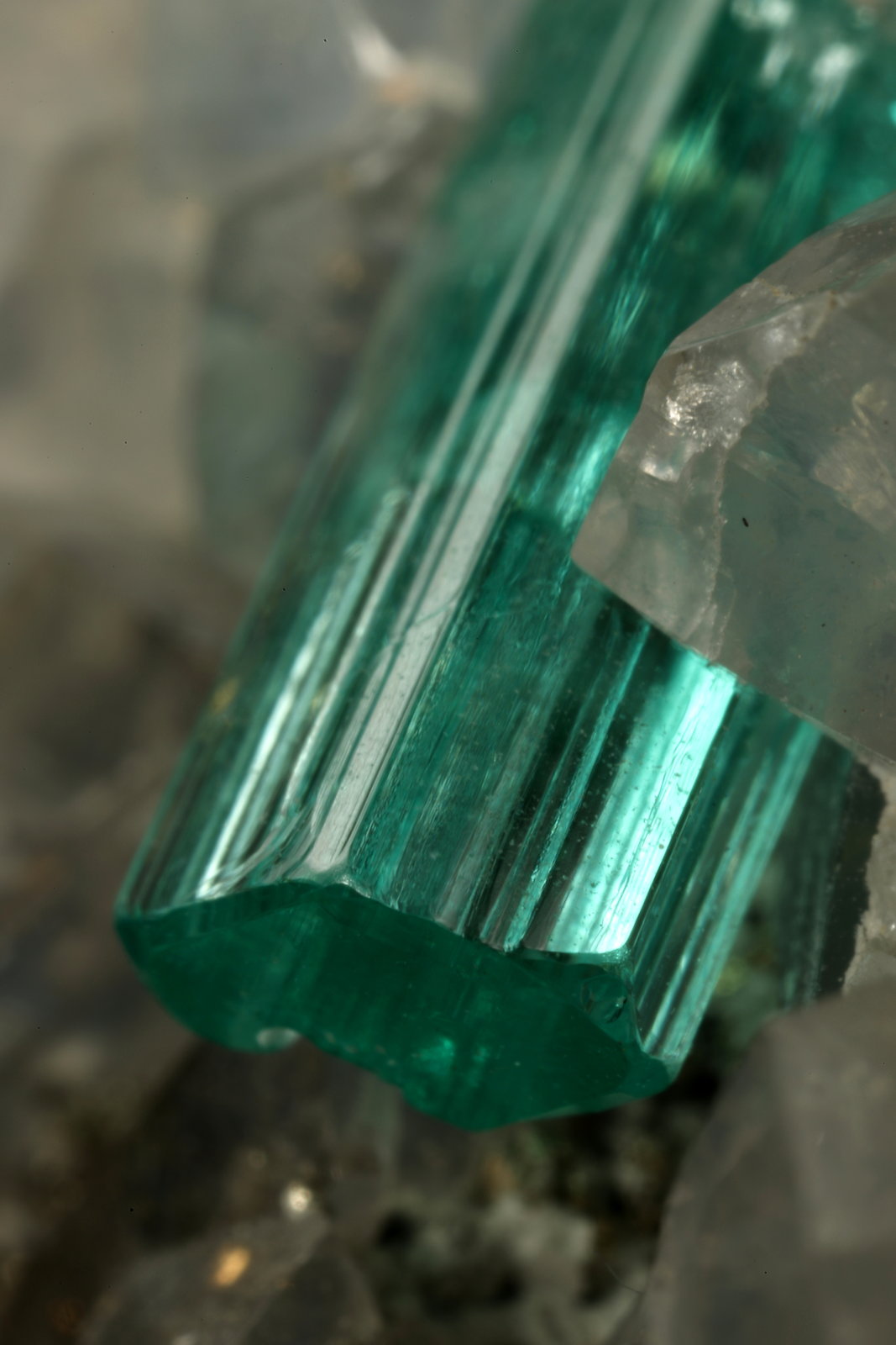 Beryl (variety emerald), Calcite, Pyrite, Dolomite
98x70x38mm, xl=31mm
(Autor: Fiebre Verde)