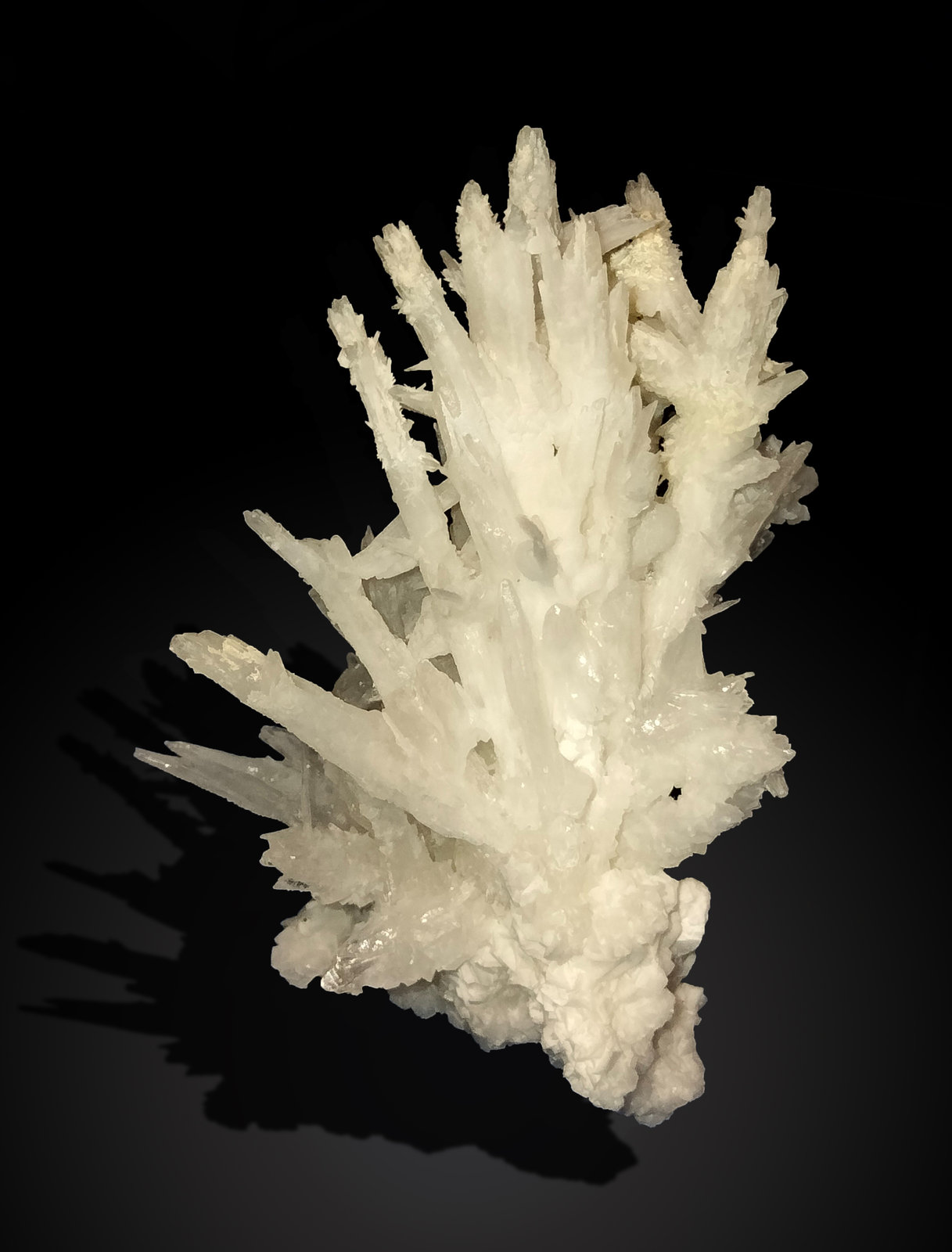 Aragonite
44 mm x 67 mm x 42 mm
(Autor: Firmo Espinar)