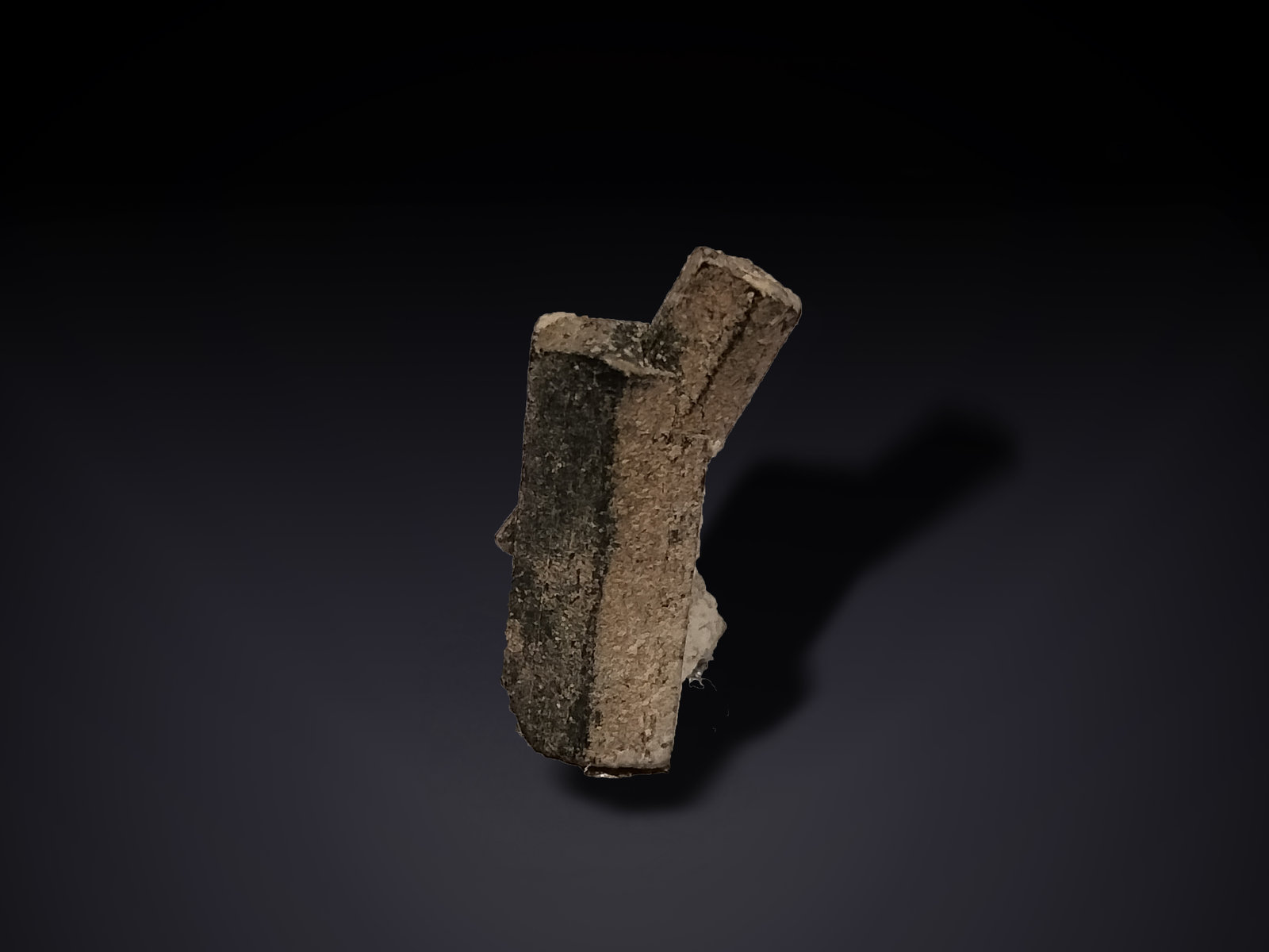 Ferro-hornblende
10 mm x 21 mm x 6 mm
(Autor: Firmo Espinar)