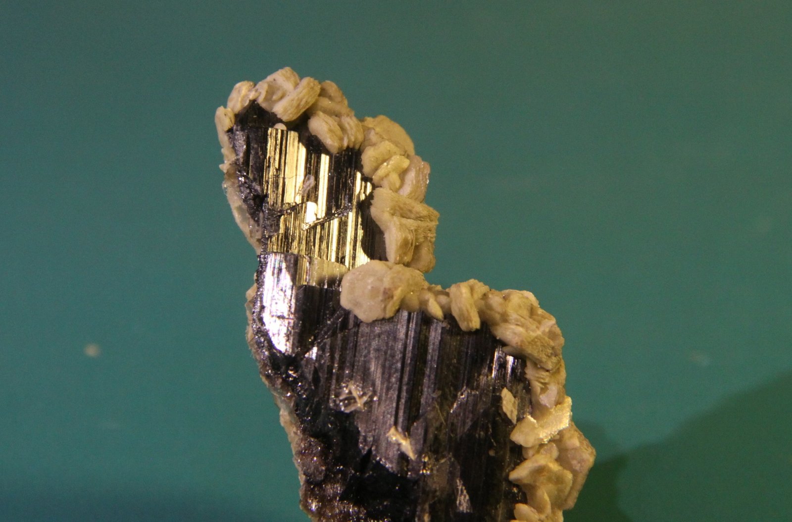Ferberite, Siderite
33mm x 55mm x 14mm
(Autor: Firmo Espinar)